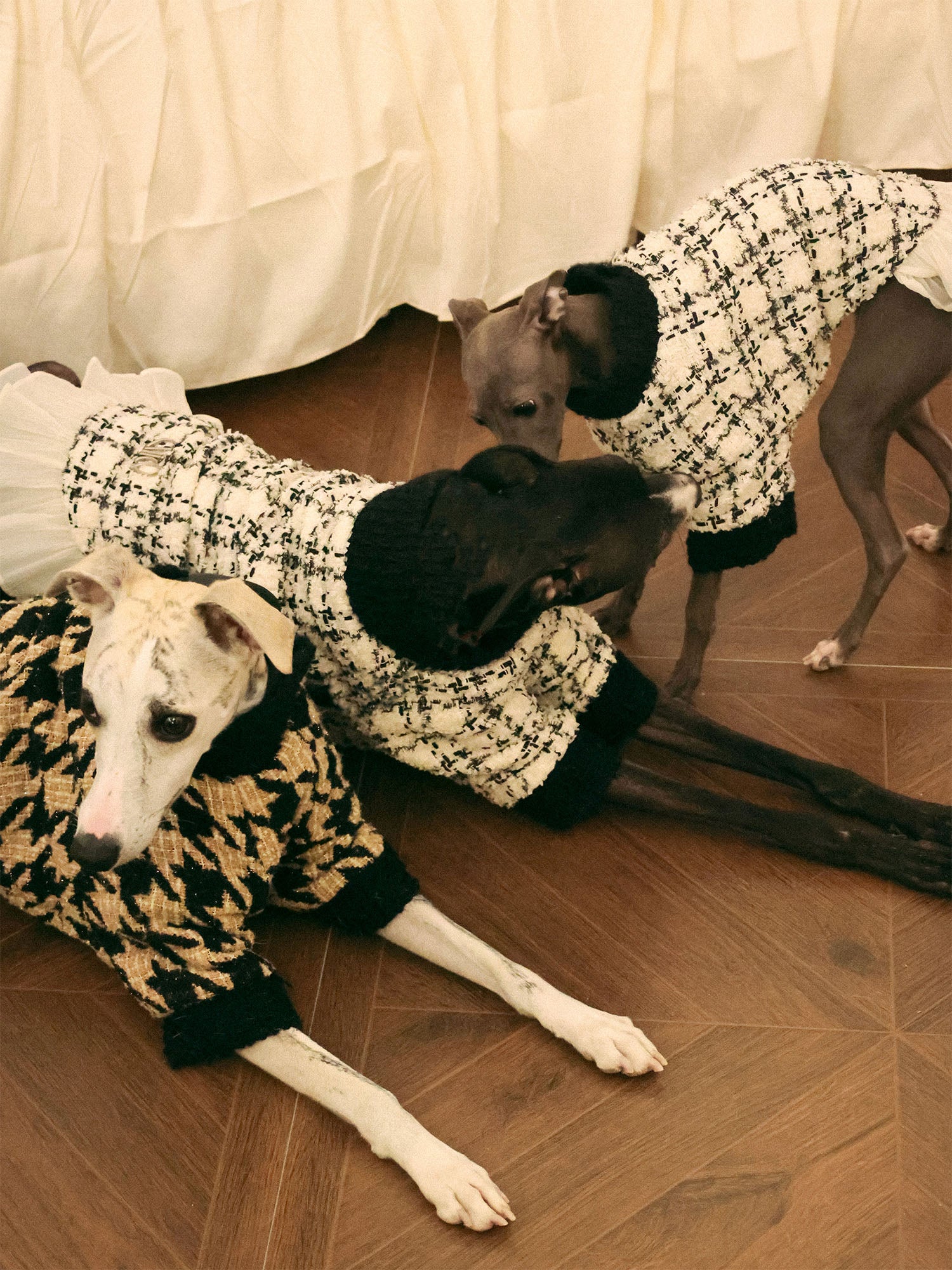 π΄πππ | Tweed Ruffle Set