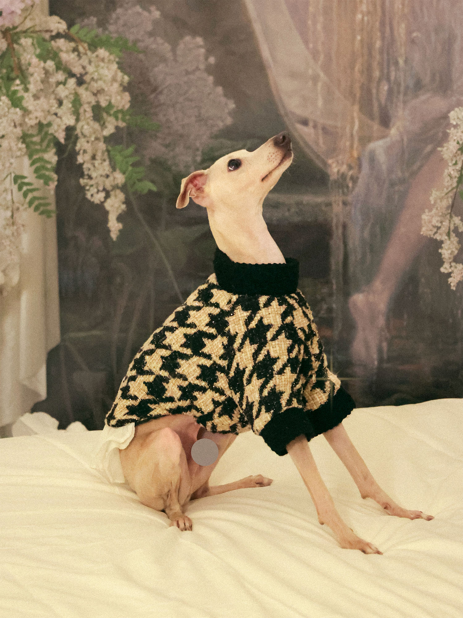 π΄πππ | Tweed Ruffle Set