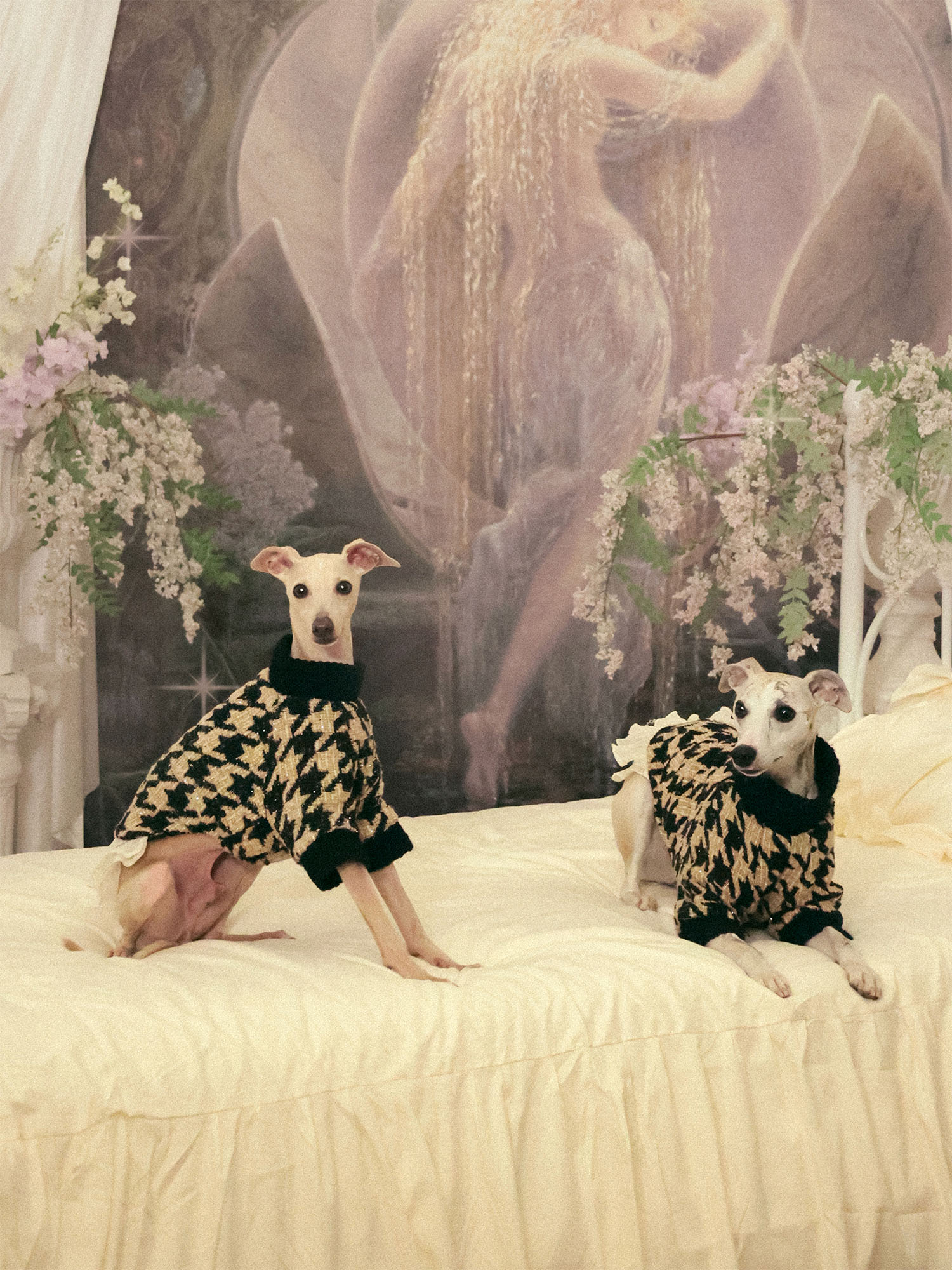 π΄πππ | Tweed Ruffle Set