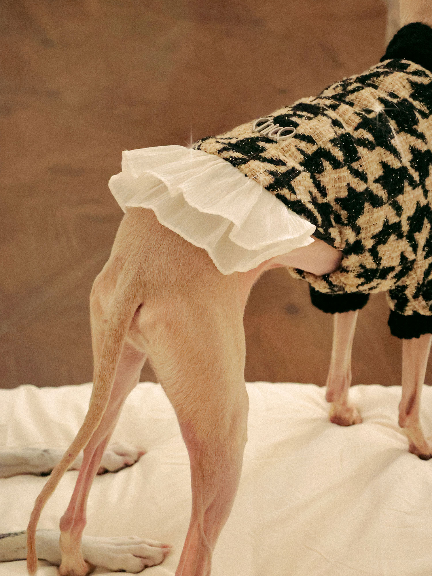 π΄πππ | Tweed Ruffle Set