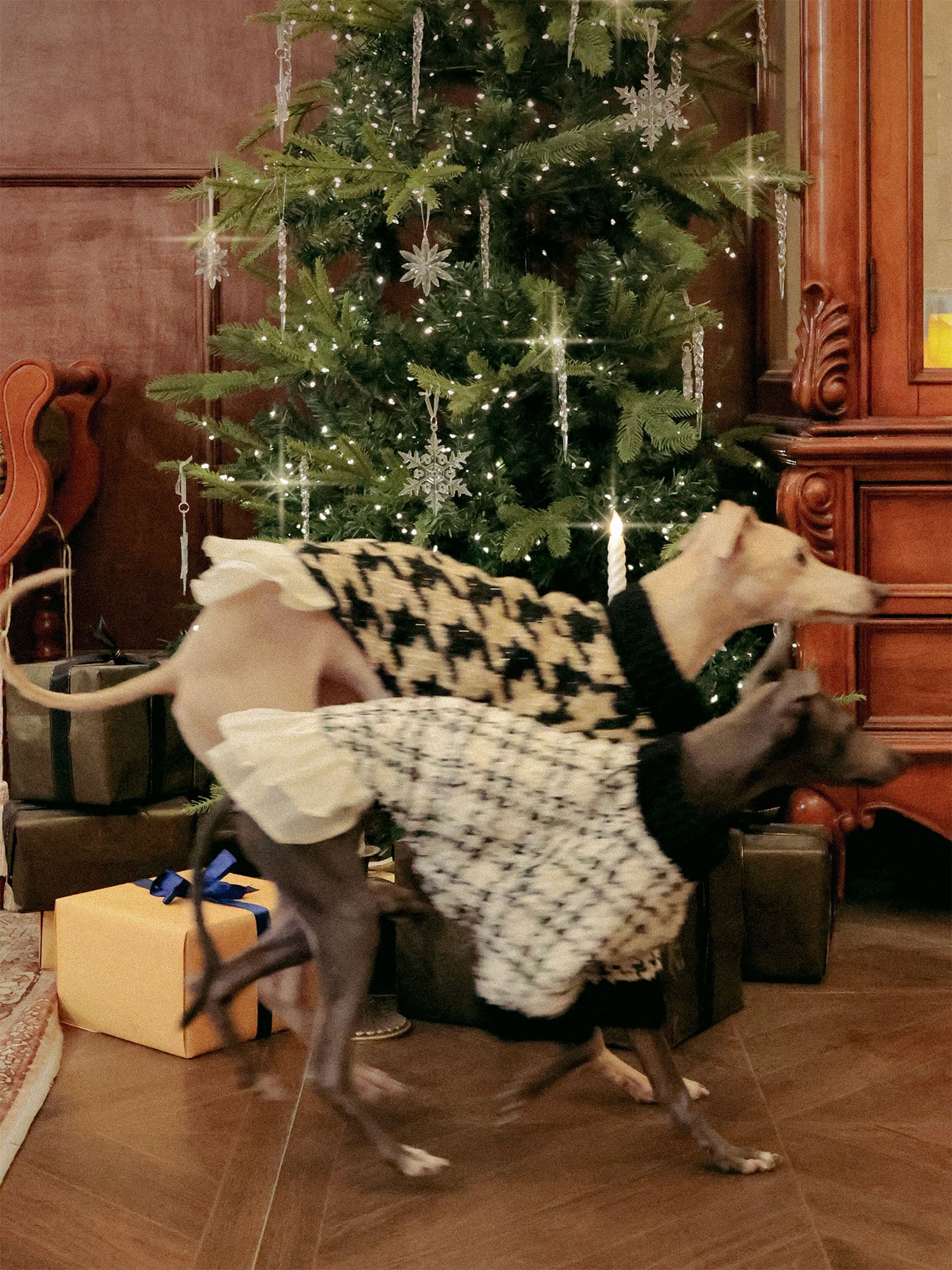 π΄πππ | Tweed Ruffle Set