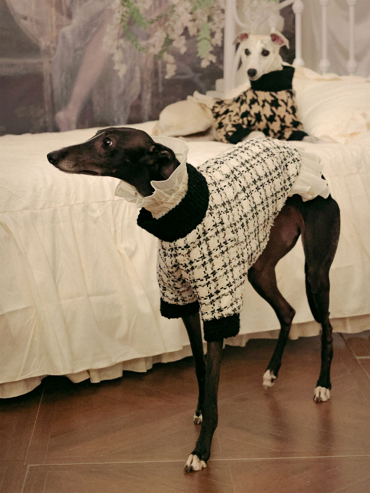 π΄πππ | Tweed Ruffle Set