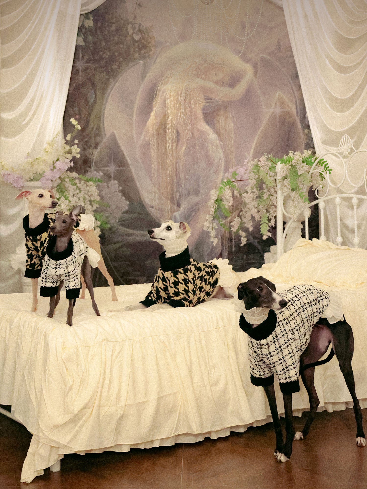 π΄πππ | Tweed Ruffle Set