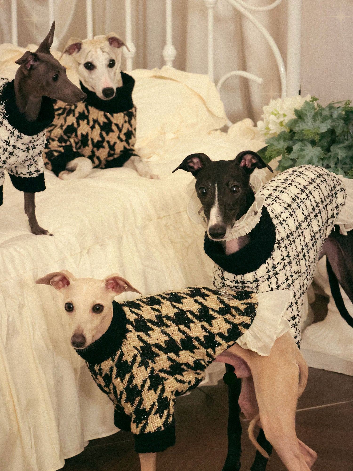 π΄πππ | Tweed Ruffle Set