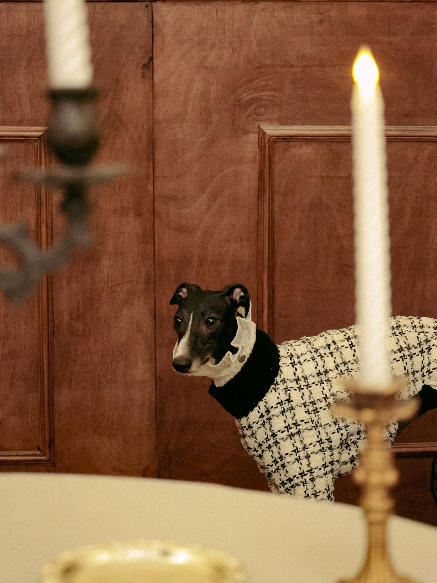 π΄πππ | Tweed Ruffle Set