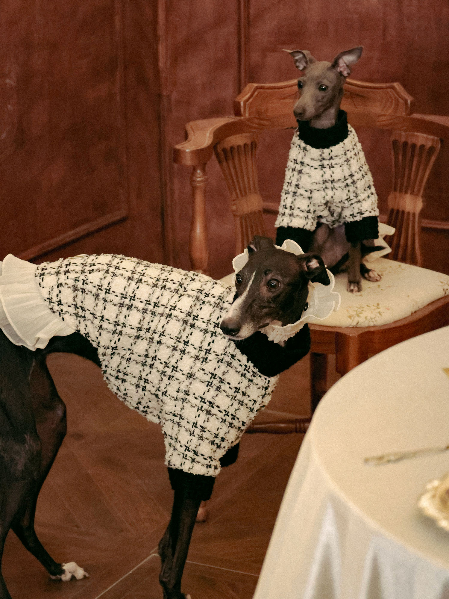 π΄πππ | Tweed Ruffle Set