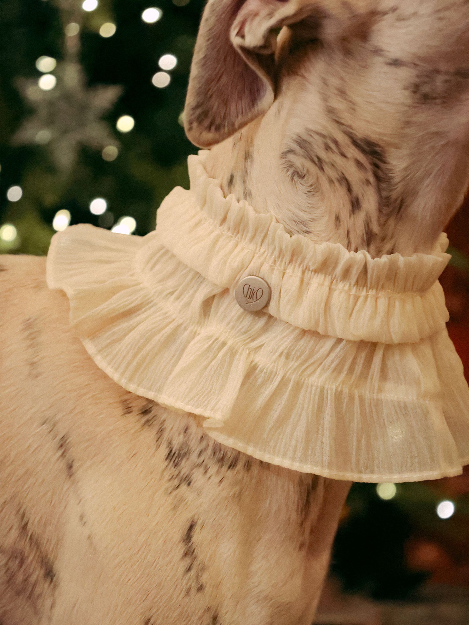 π΄πππ | Tweed Ruffle Set