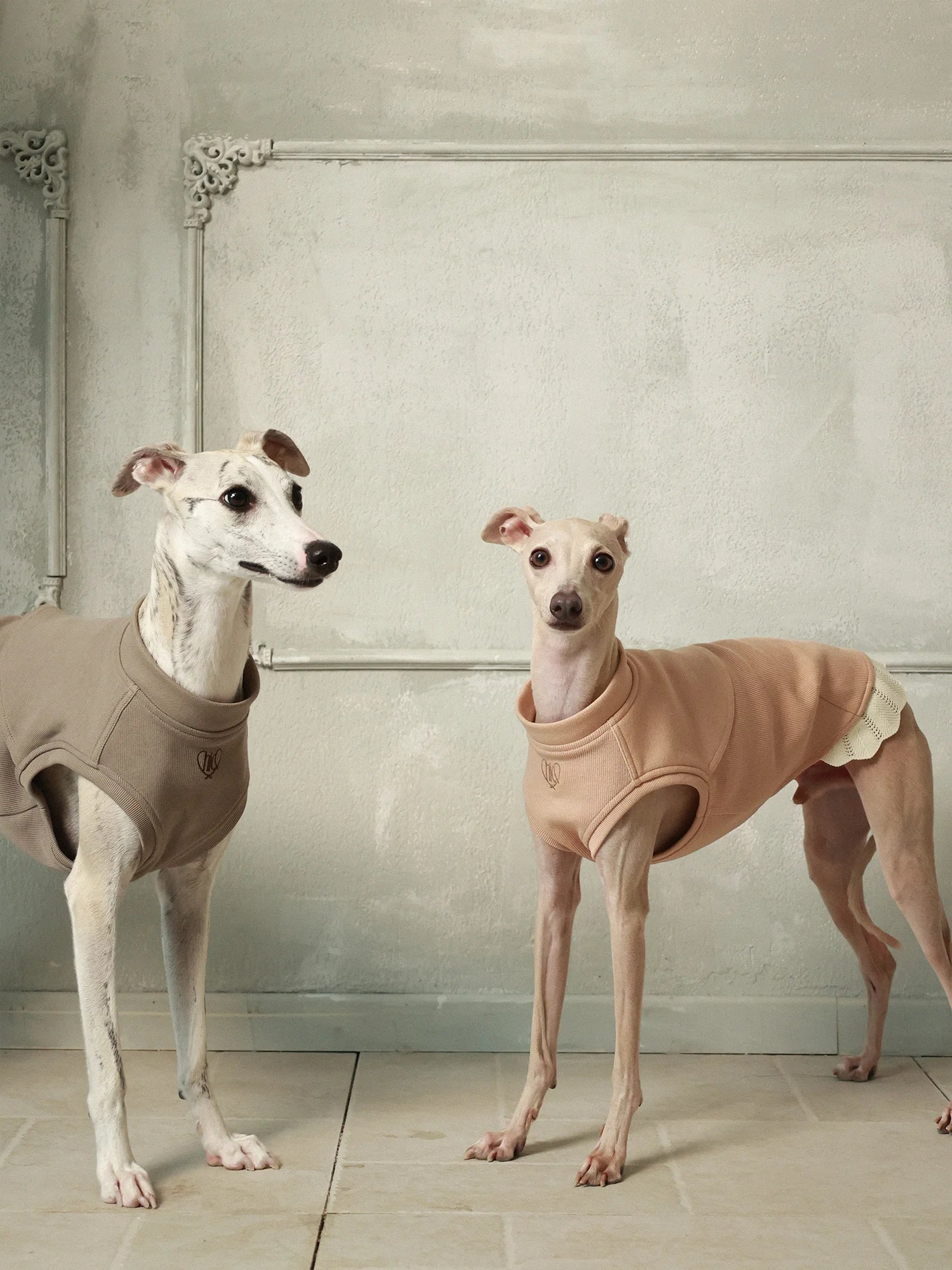 π©ππππ | Sleeveless Sweatshirt