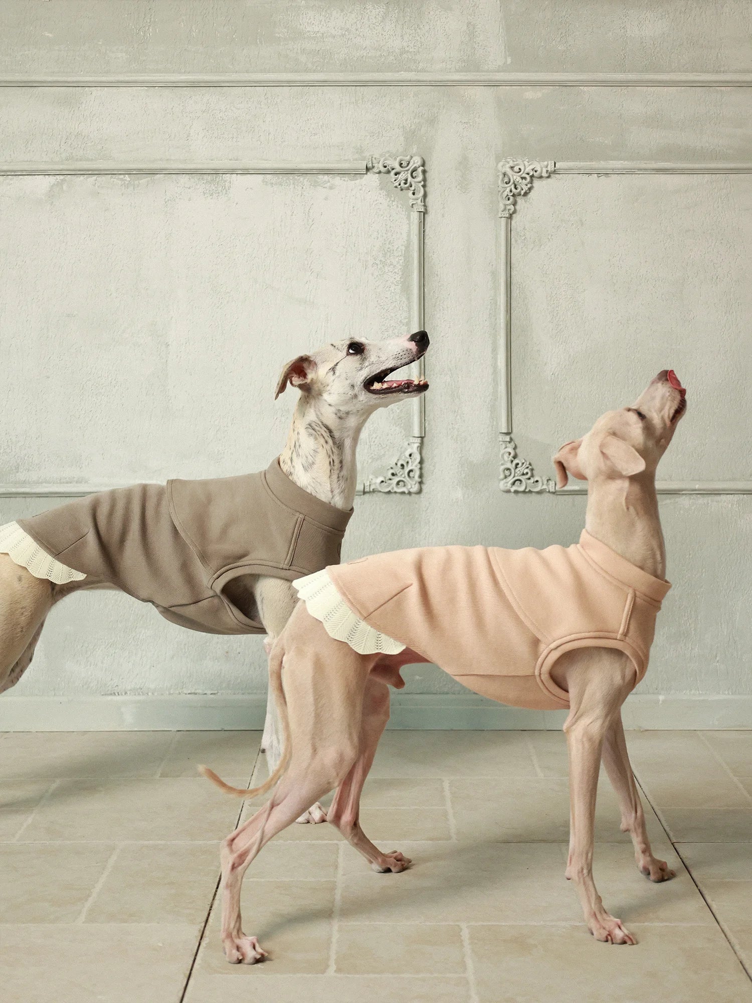 π©ππππ | Sleeveless Sweatshirt