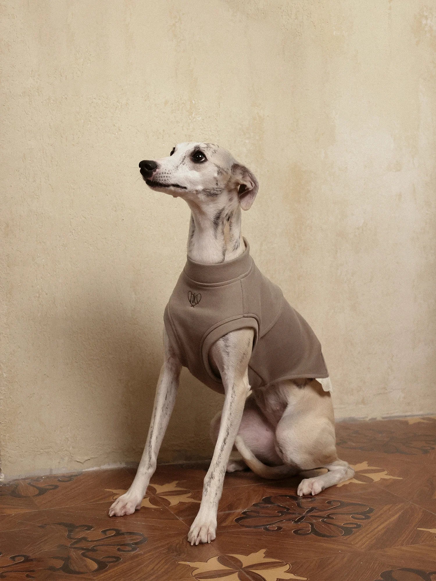 π©ππππ | Sleeveless Sweatshirt