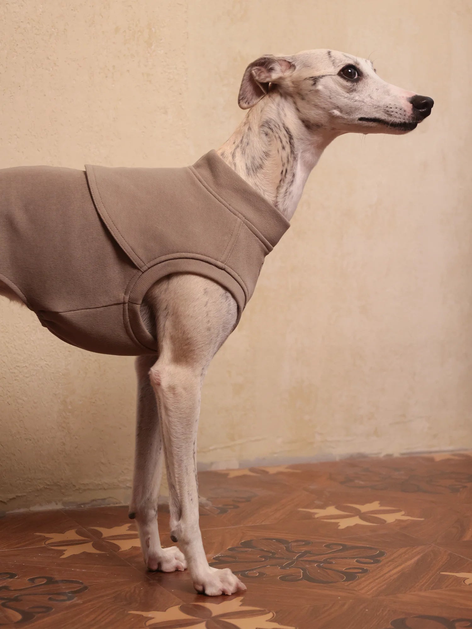 π©ππππ | Sleeveless Sweatshirt