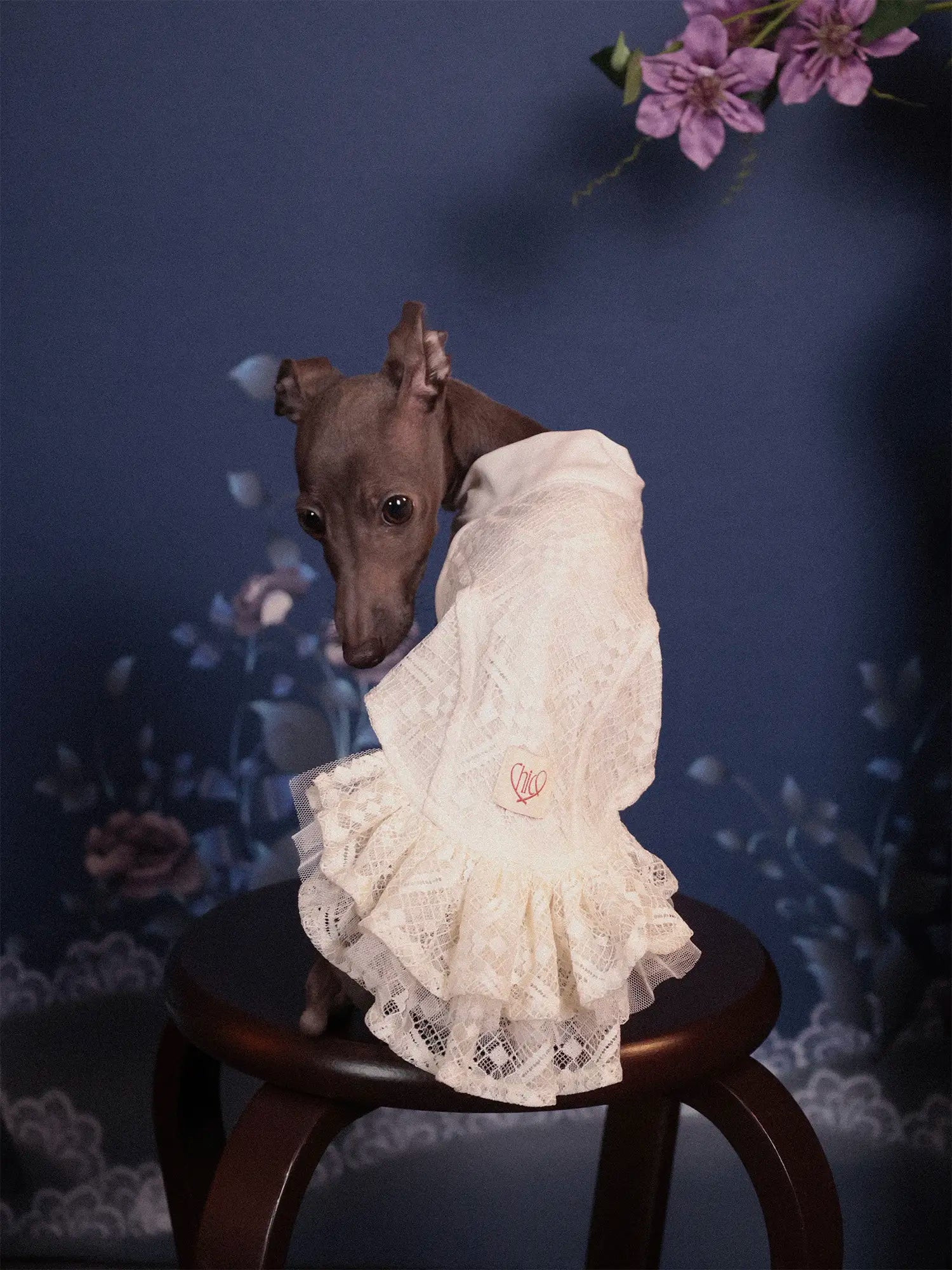 π³πππ | Chinoiserie skirt