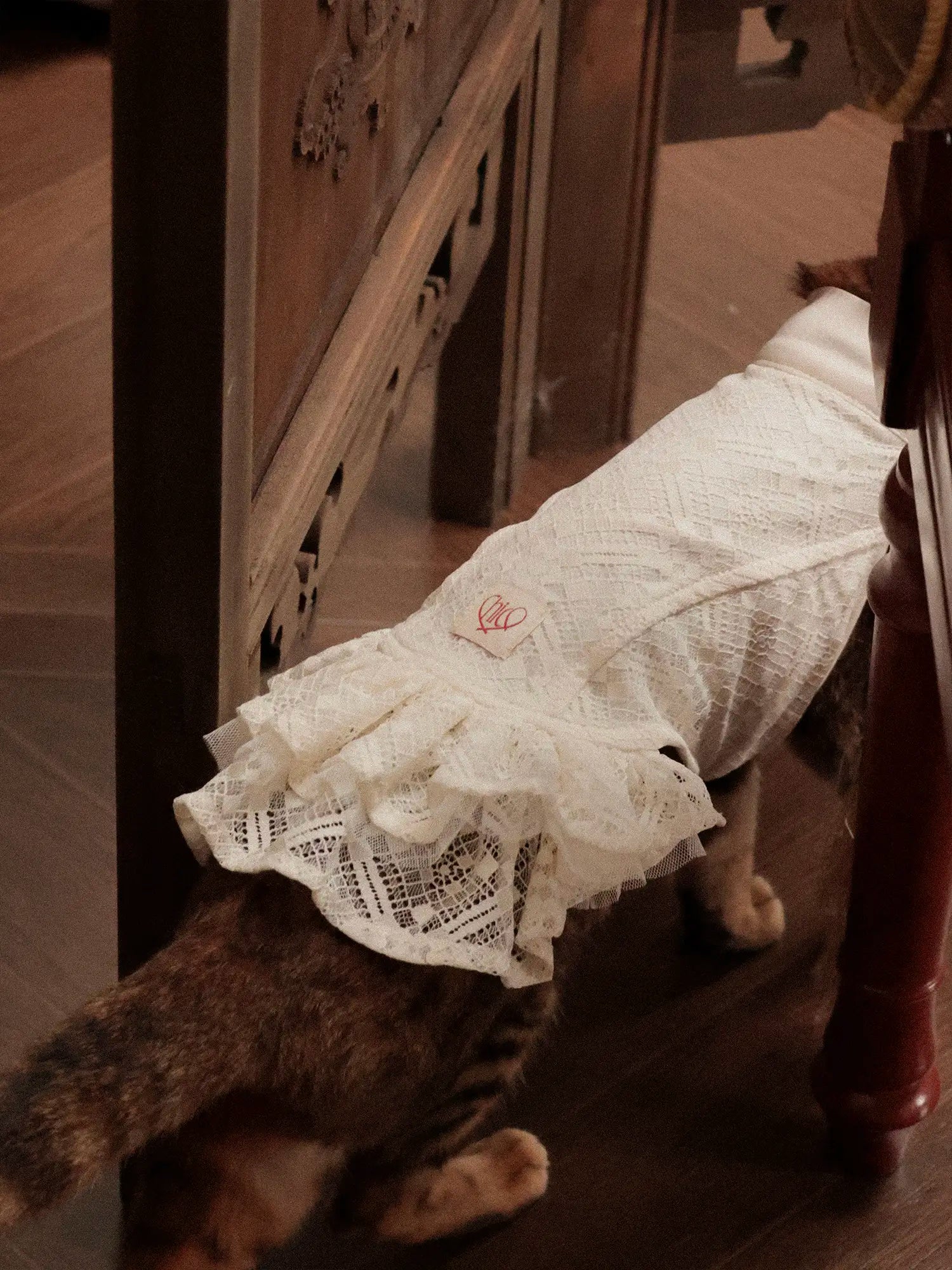 π³πππ | Chinoiserie skirt