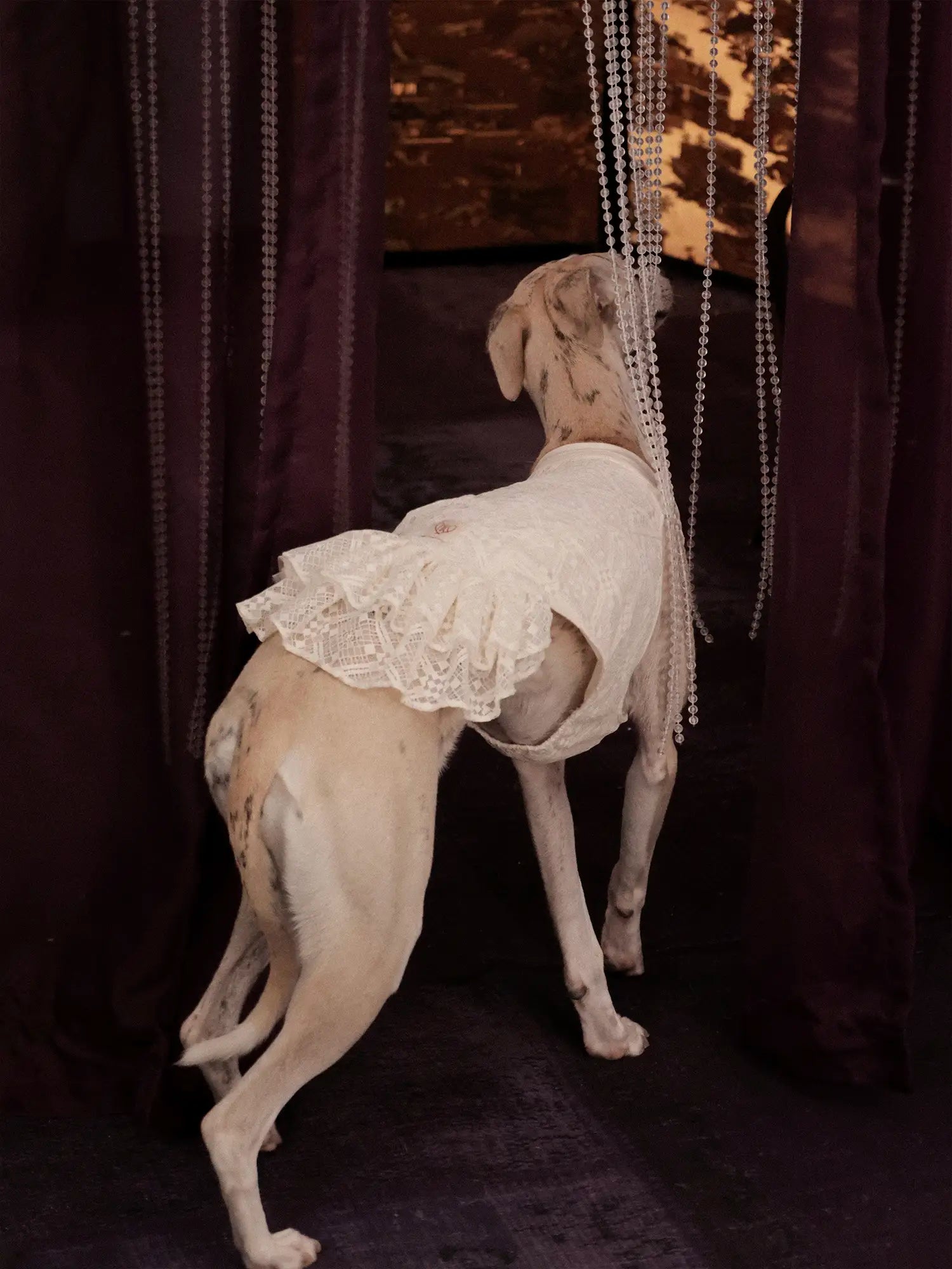 π³πππ | Chinoiserie skirt