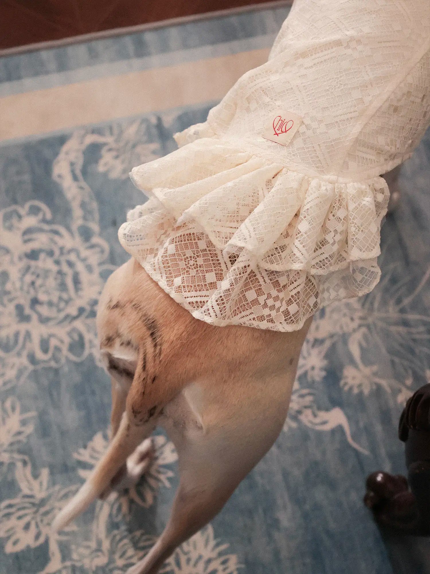 π³πππ | Chinoiserie skirt