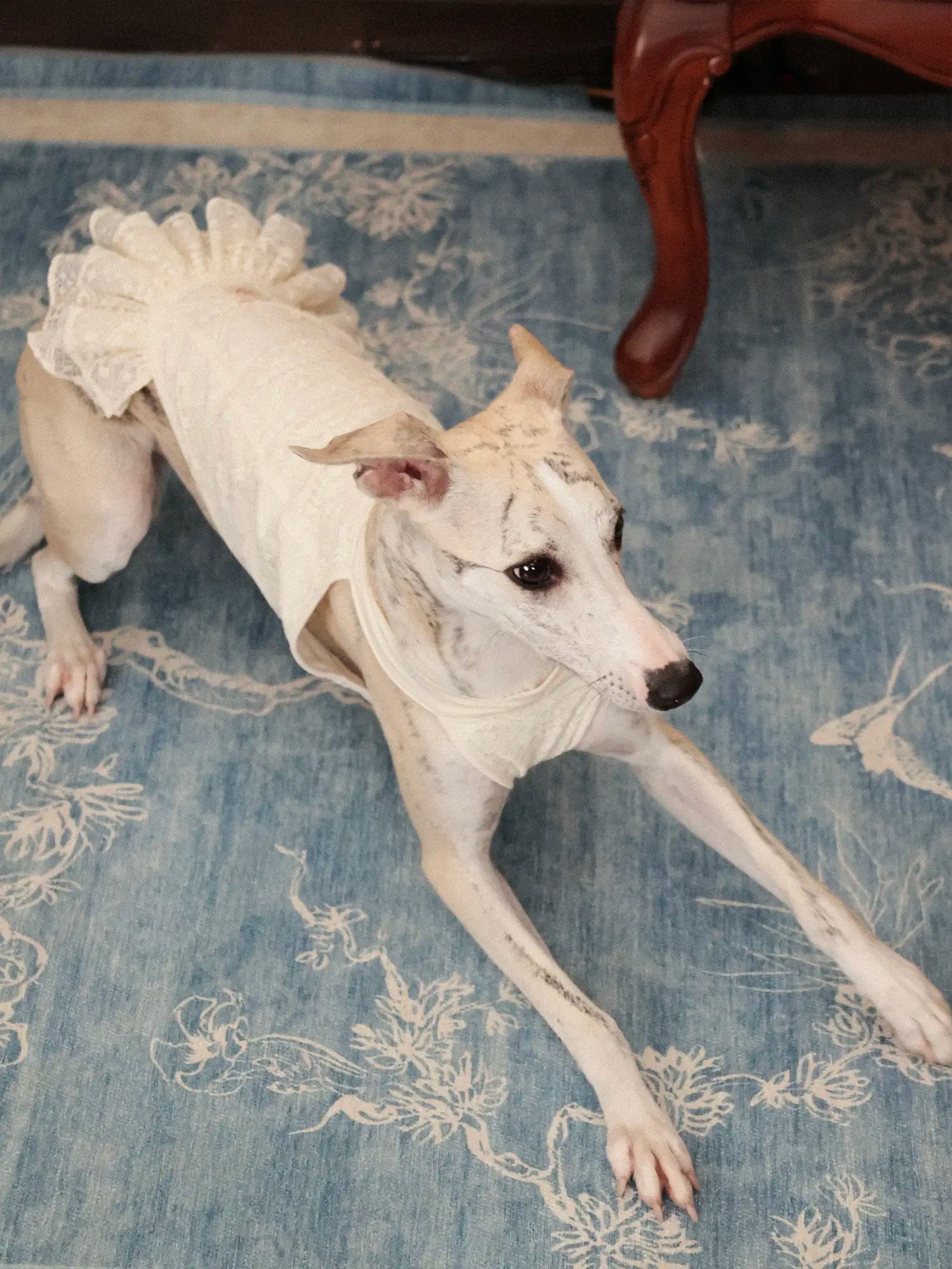 π³πππ | Chinoiserie skirt