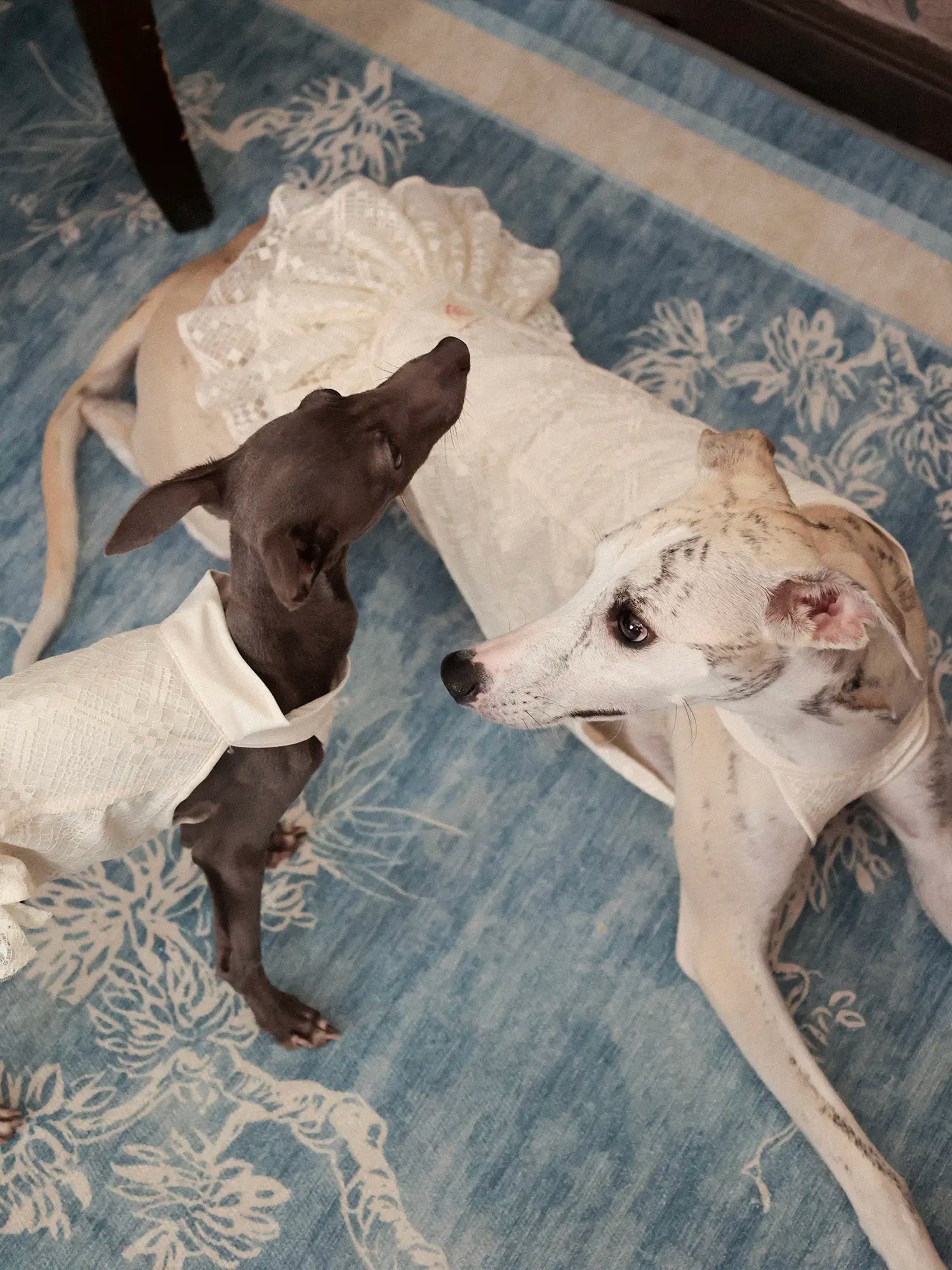 π³πππ | Chinoiserie skirt