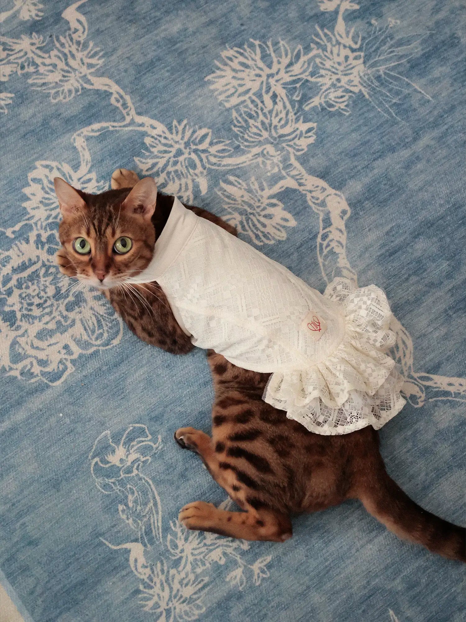 π³πππ | Chinoiserie skirt