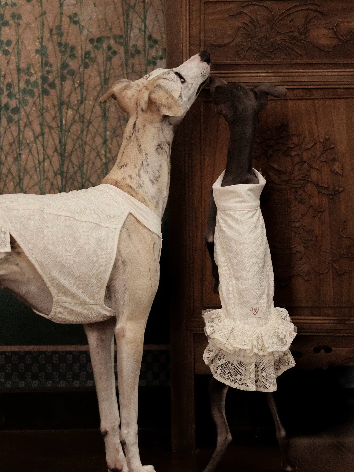 π³πππ | Chinoiserie skirt