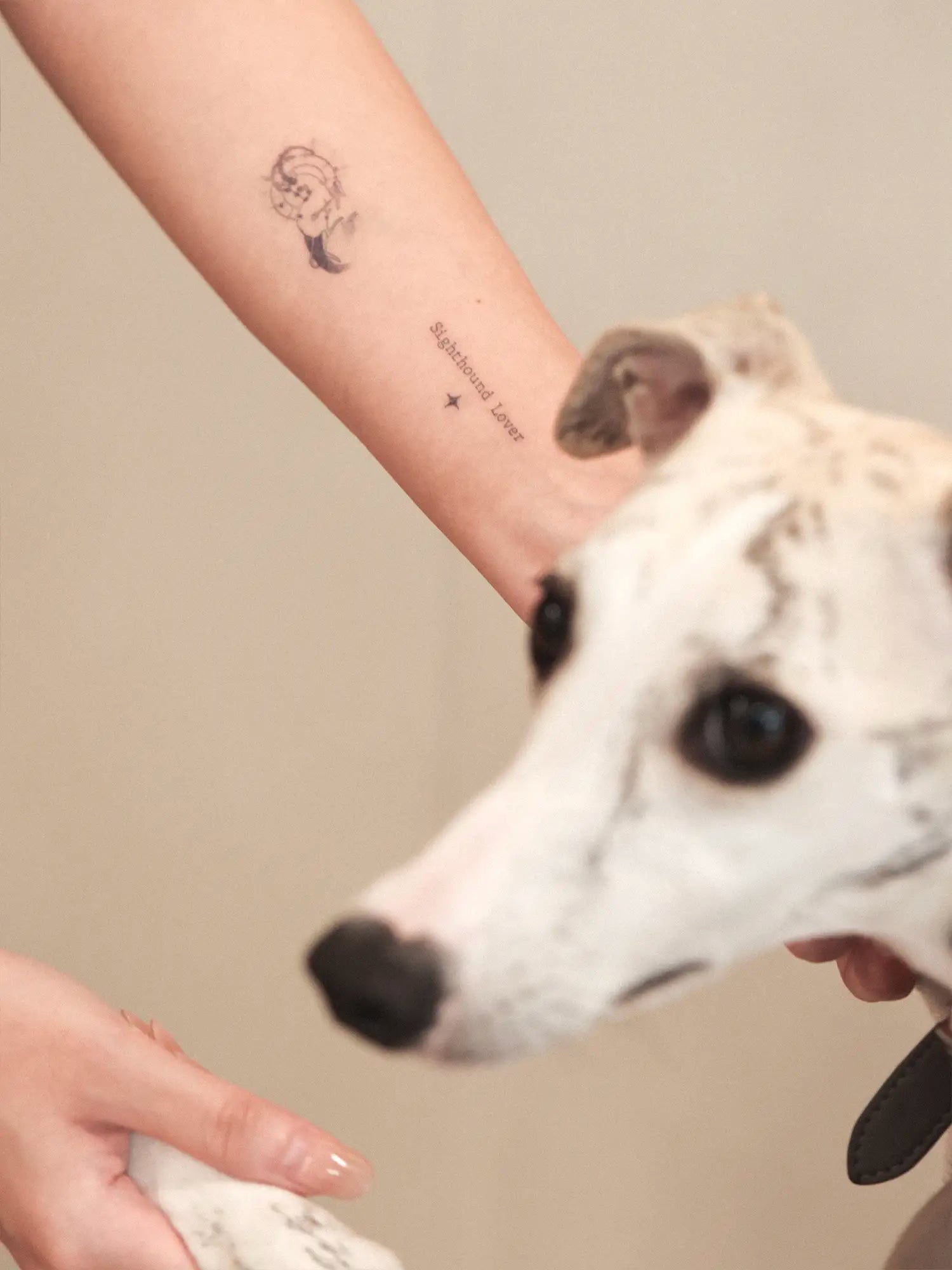 π³πππππΊπππο½Sighthound Zodiac Temporary Tattoos