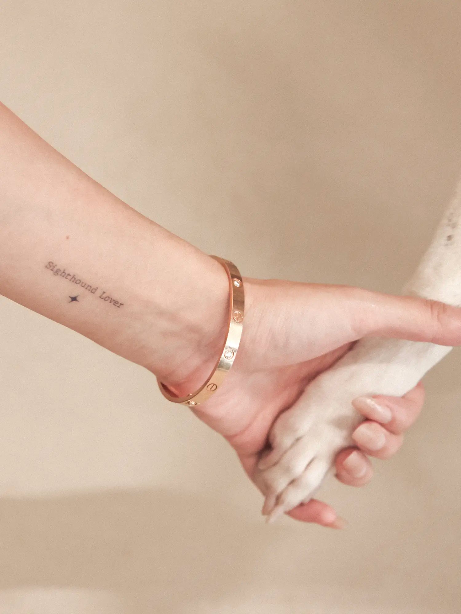 π³πππππΊπππο½Sighthound Zodiac Temporary Tattoos