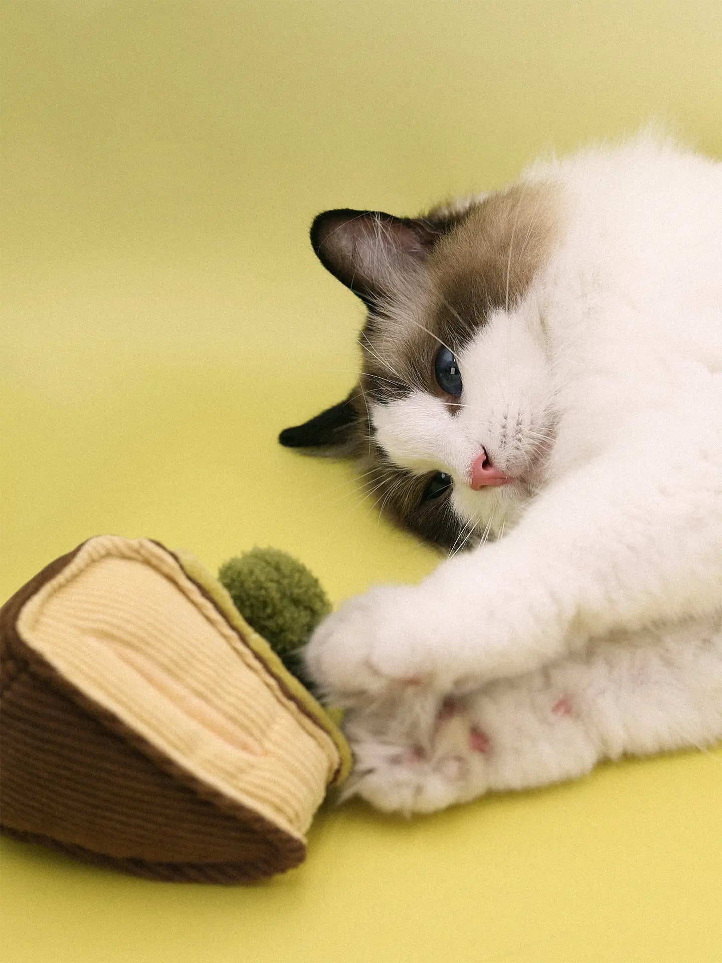 πΊπππππ―ππππ | Love Basque