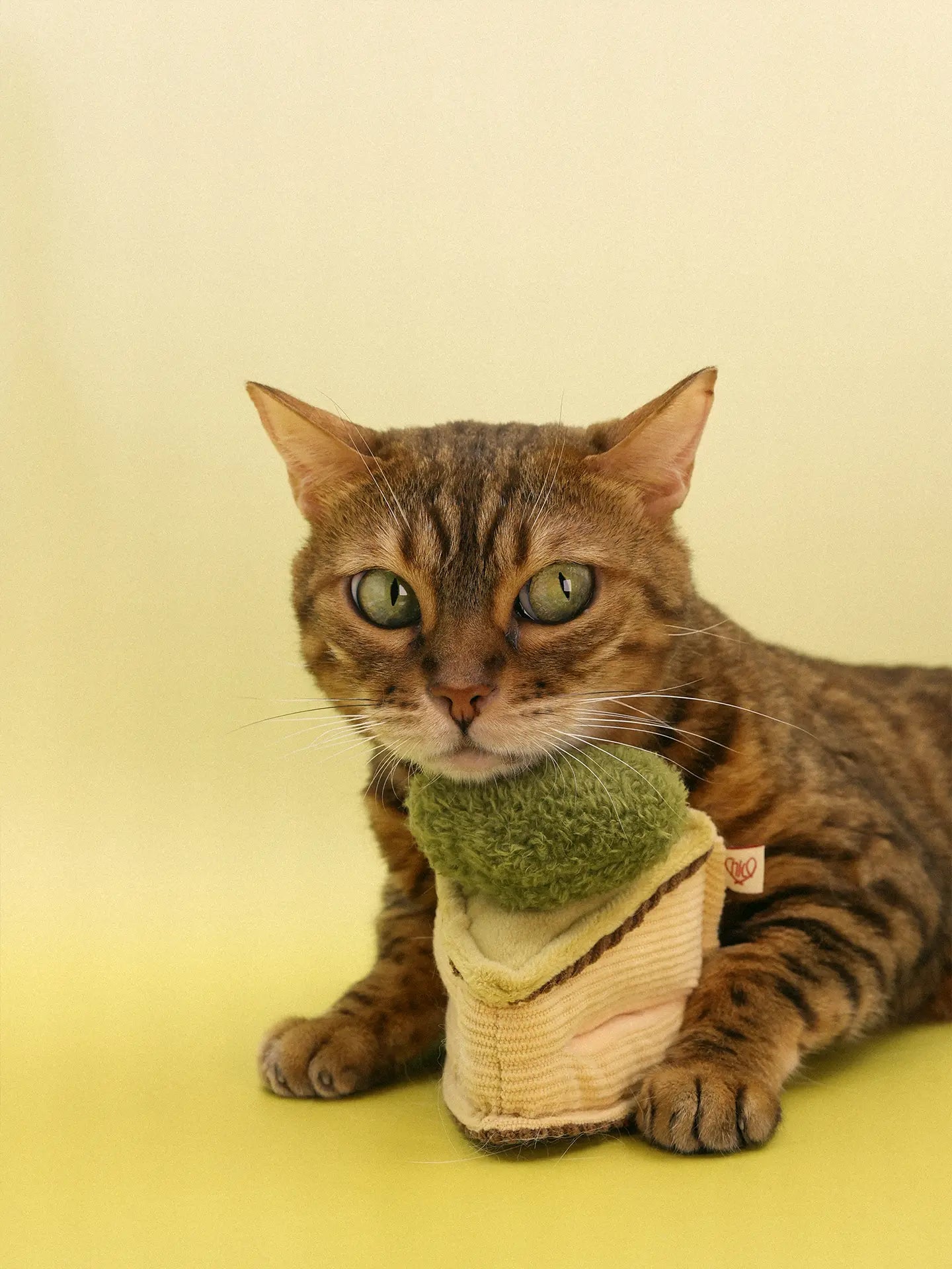 πΊπππππ―ππππ | Love Basque