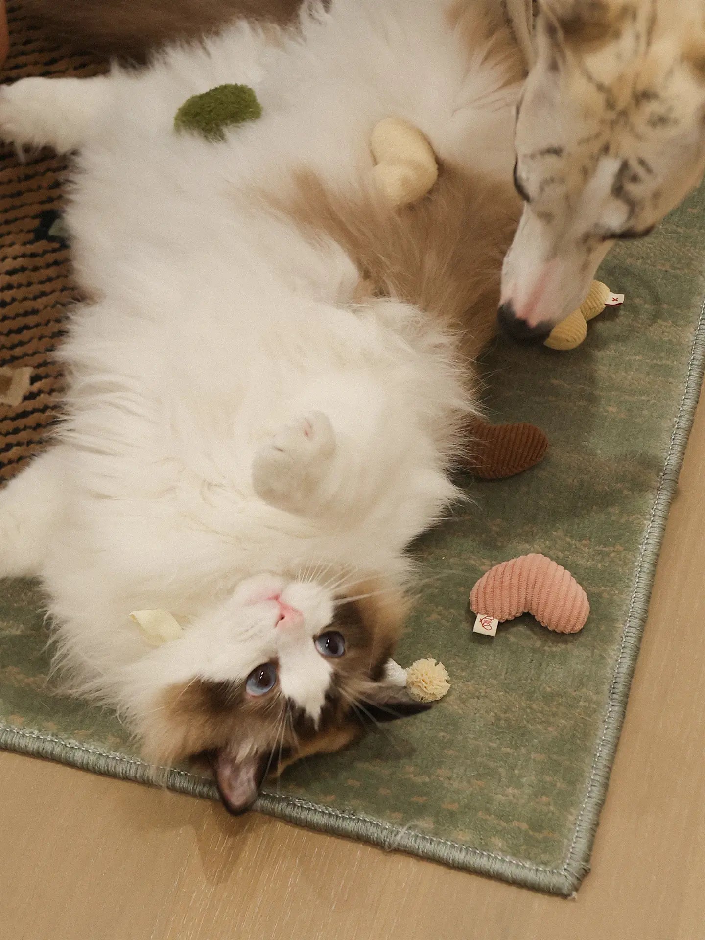 πΊπππππ―ππππ | Love Puff