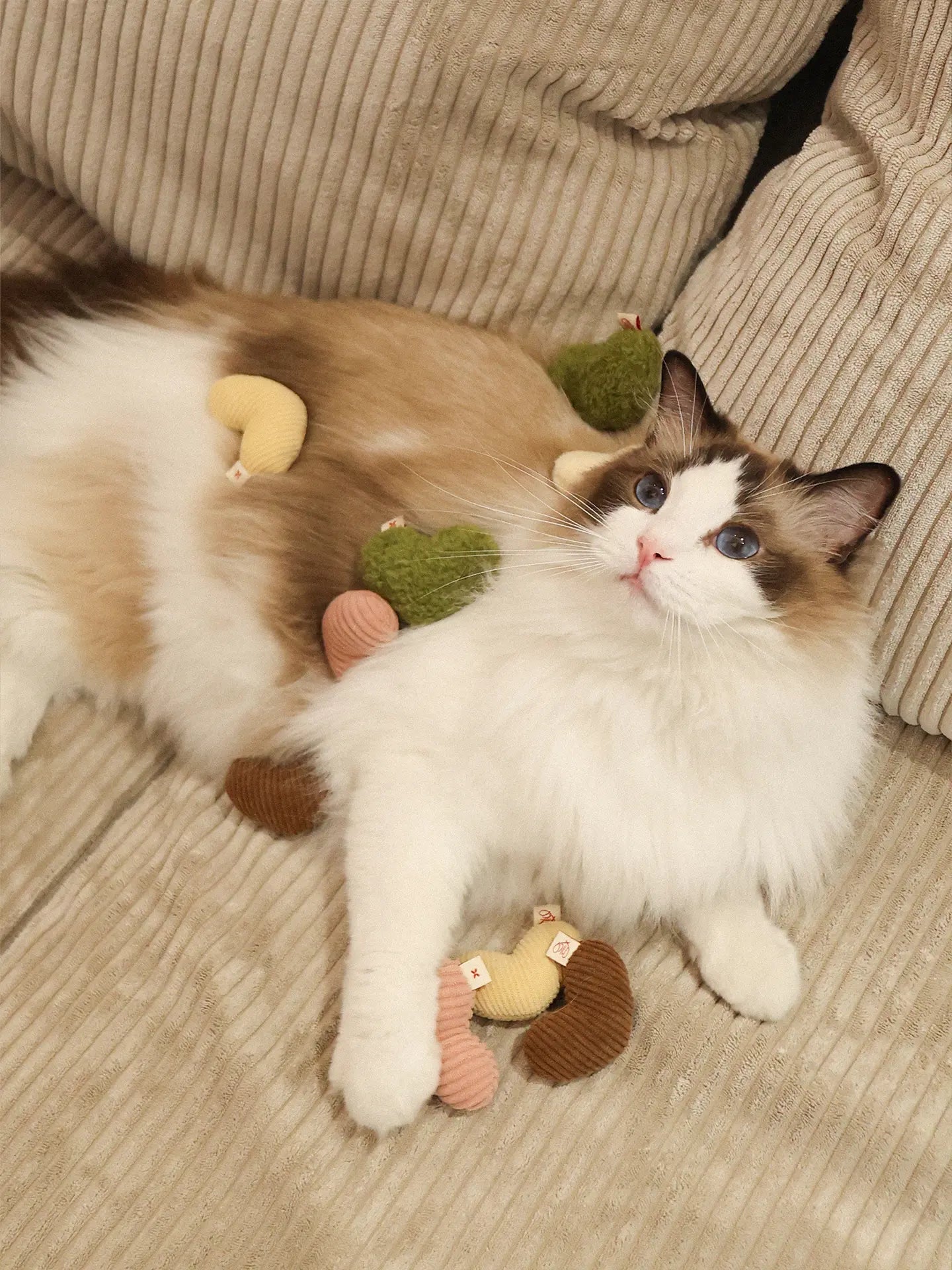 πΊπππππ―ππππ | Love Puff