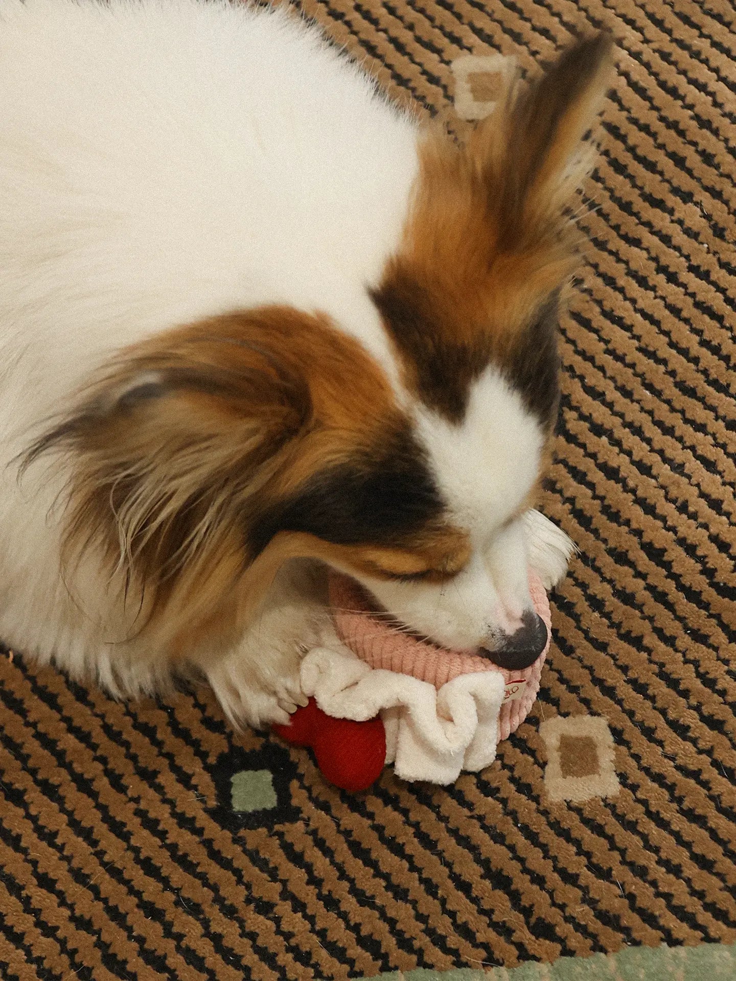 πΊπππππ―ππππ | Love Swiss Roll