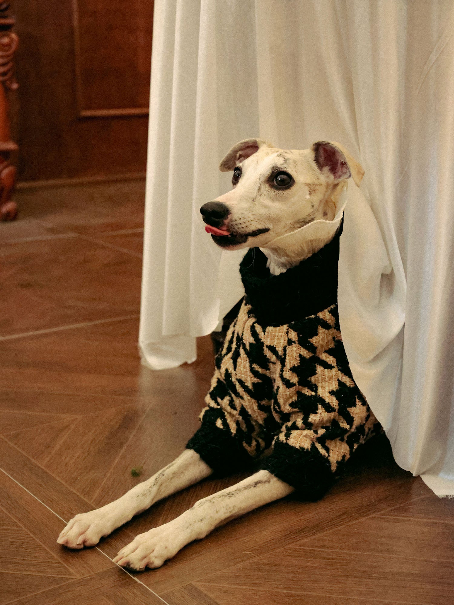 𝑴𝒖𝒔𝒆 | Tweed Ruffle Set