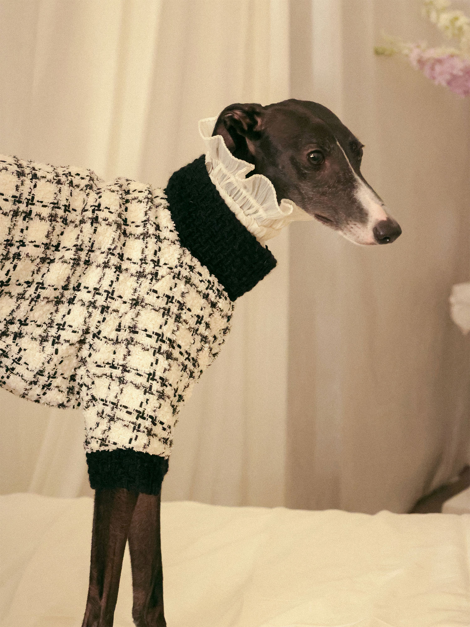 𝑴𝒖𝒔𝒆 | Tweed Ruffle Set