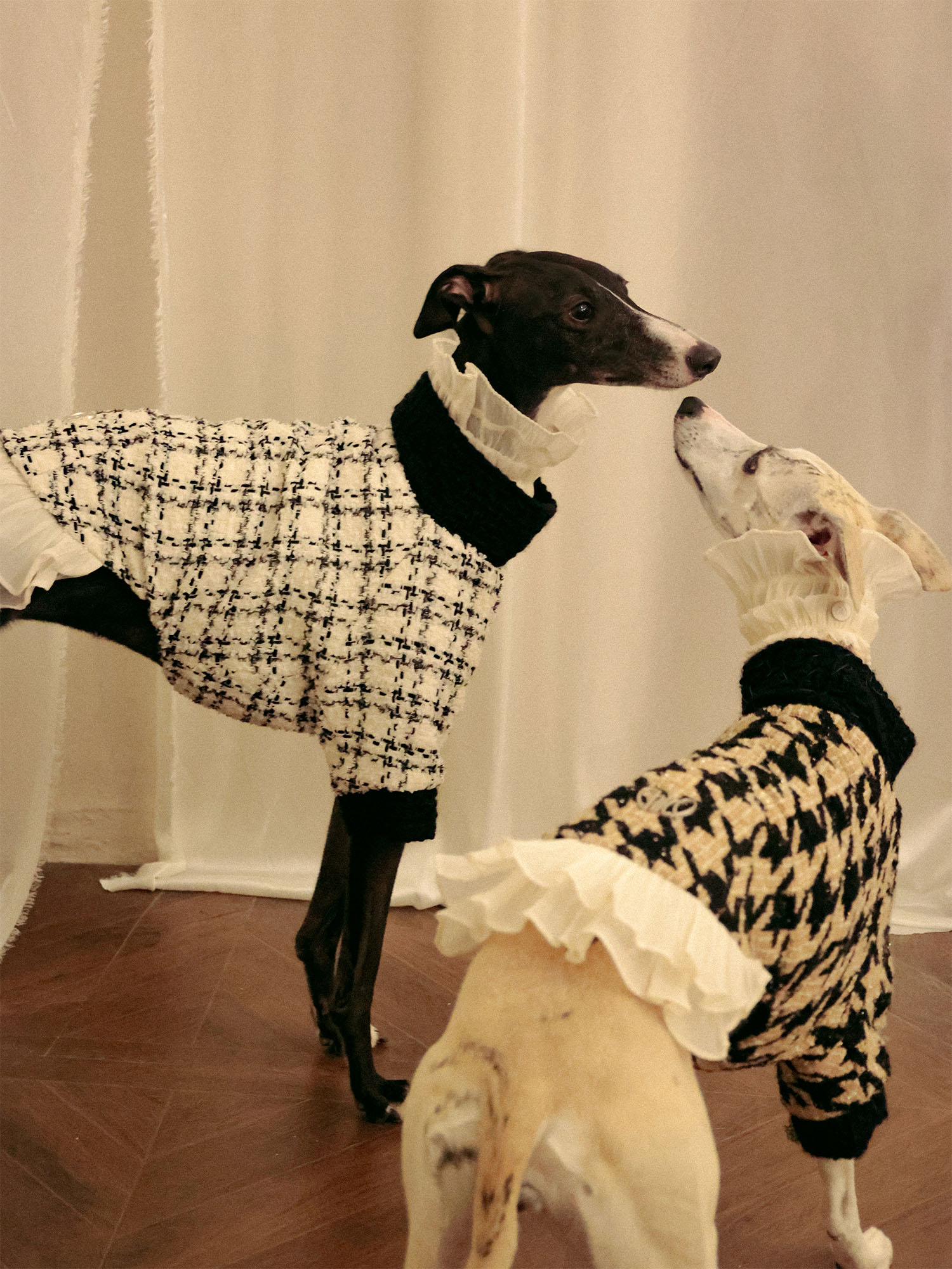 𝑴𝒖𝒔𝒆 | Tweed Ruffle Set