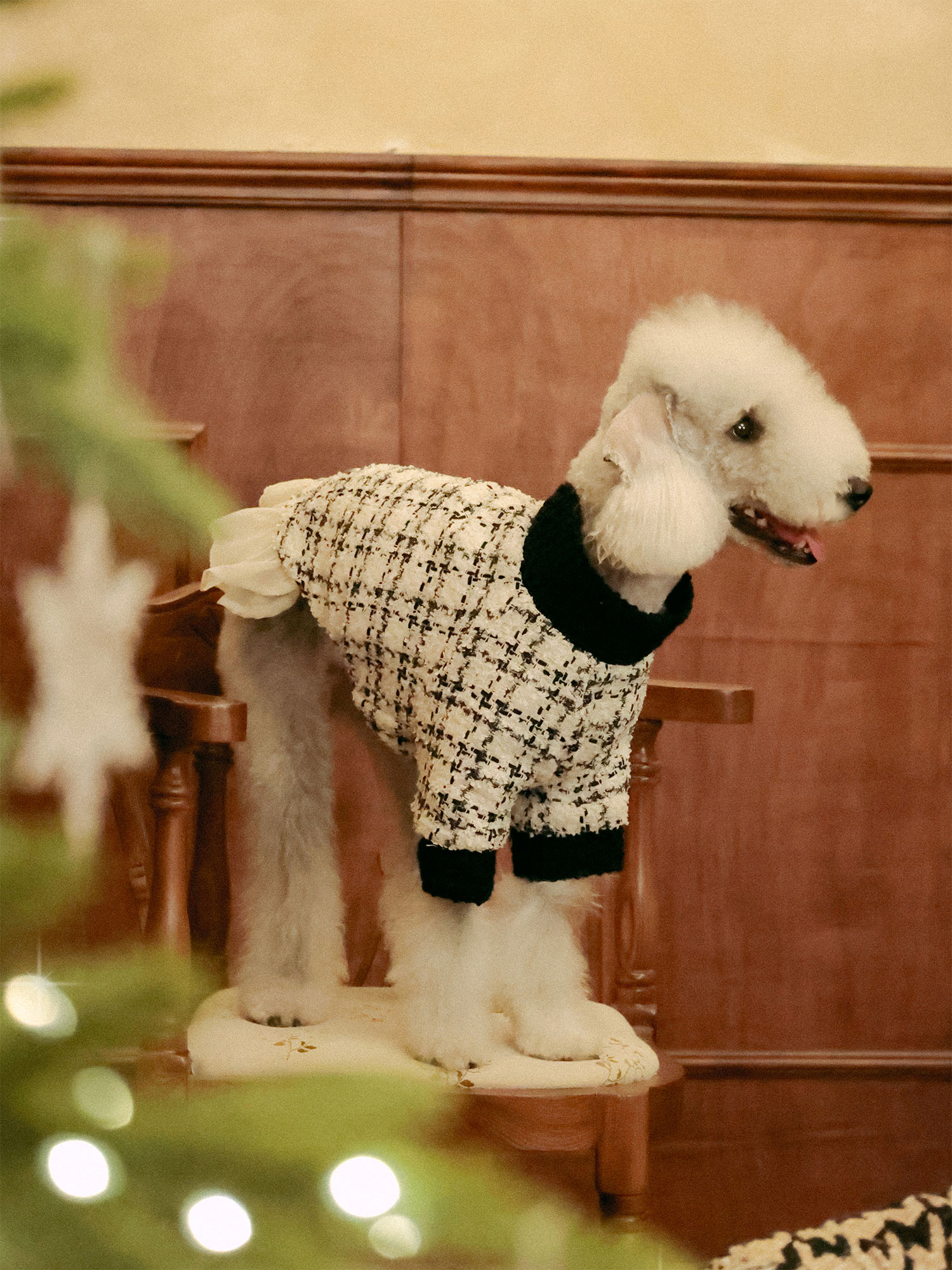 𝑴𝒖𝒔𝒆 | Tweed Ruffle Set