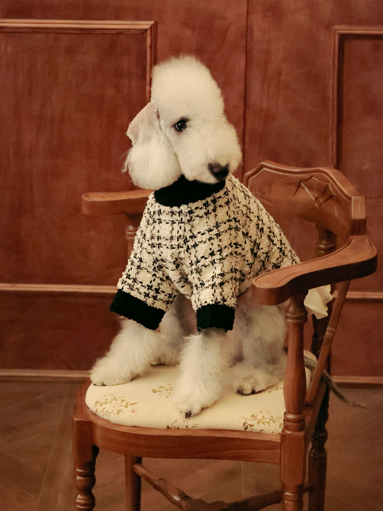 𝑴𝒖𝒔𝒆 | Tweed Ruffle Set