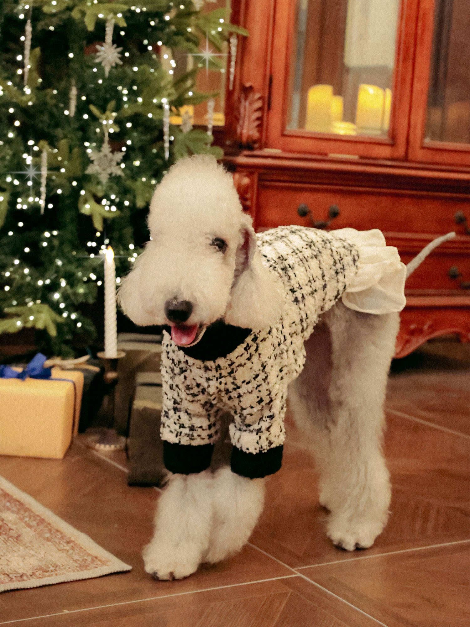 𝑴𝒖𝒔𝒆 | Tweed Ruffle Set