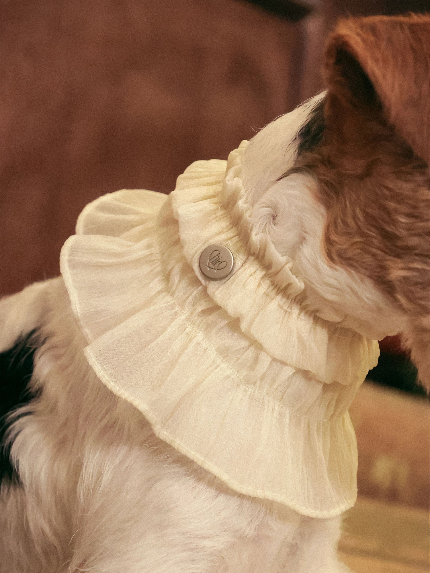 𝑴𝒖𝒔𝒆 | Tweed Ruffle Set