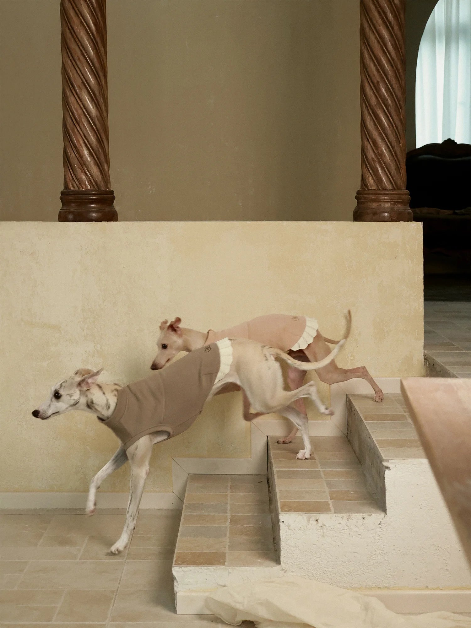 𝑩𝒍𝒐𝒐𝒎 | Sleeveless Sweatshirt