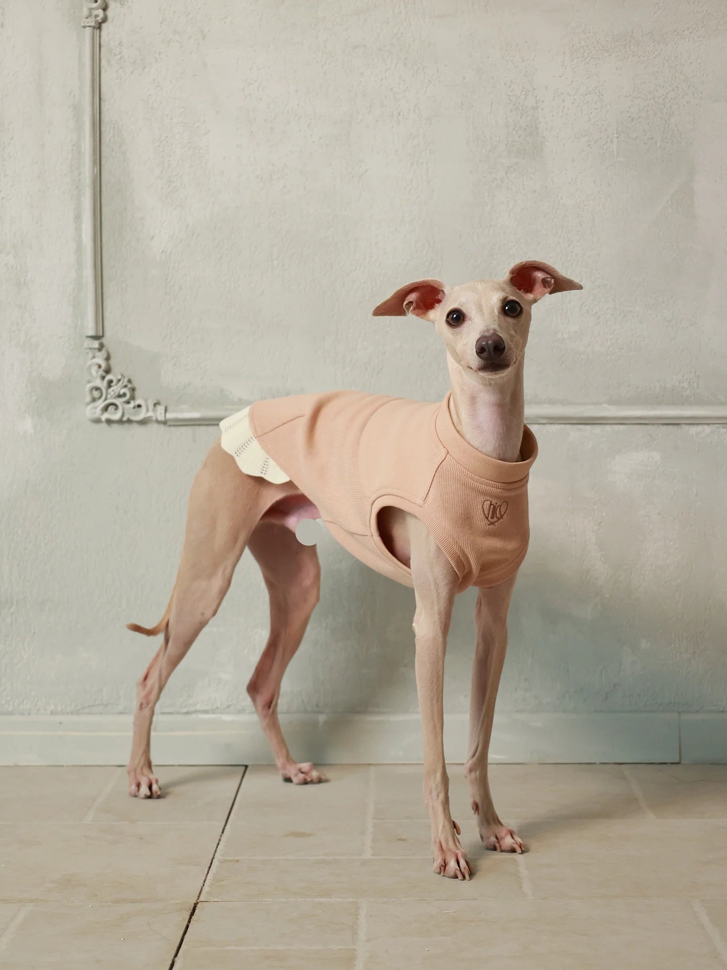 𝑩𝒍𝒐𝒐𝒎 | Sleeveless Sweatshirt