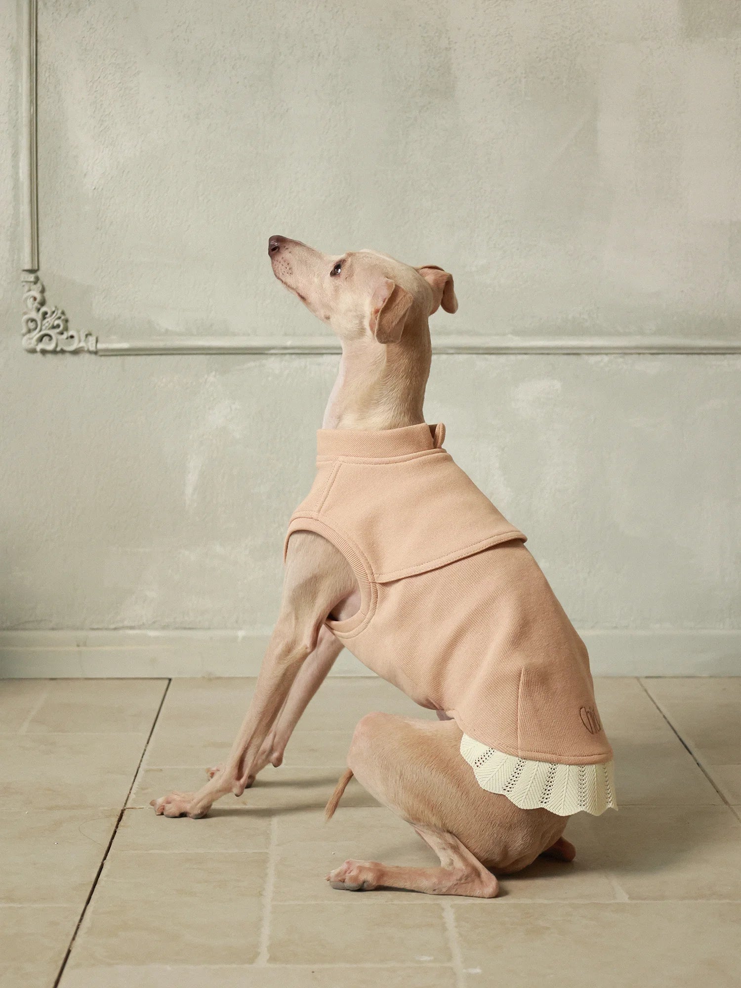 𝑩𝒍𝒐𝒐𝒎 | Sleeveless Sweatshirt