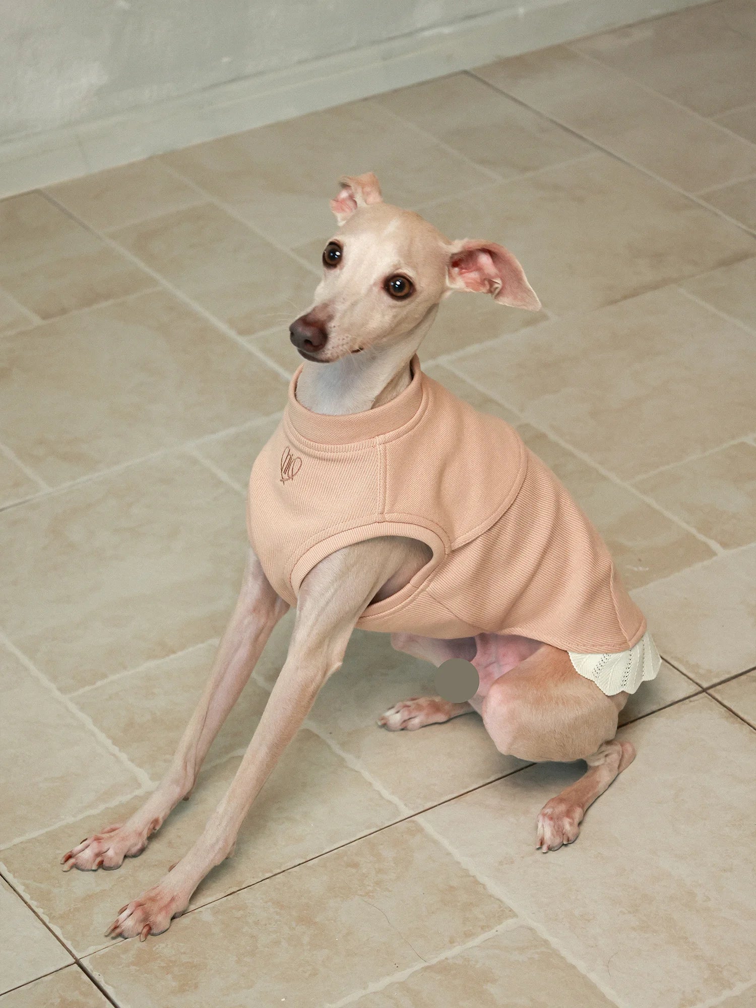 𝑩𝒍𝒐𝒐𝒎 | Sleeveless Sweatshirt