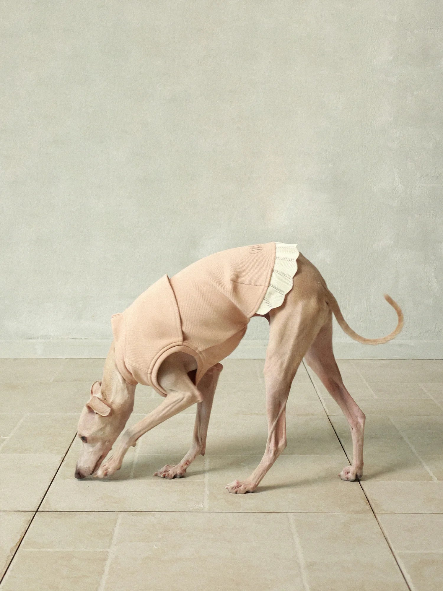 𝑩𝒍𝒐𝒐𝒎 | Sleeveless Sweatshirt