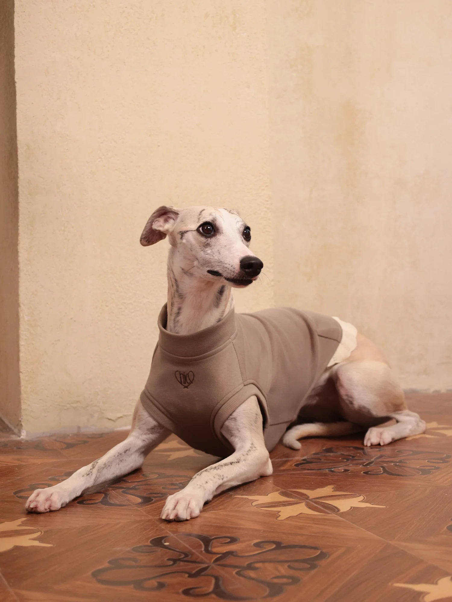 𝑩𝒍𝒐𝒐𝒎 | Sleeveless Sweatshirt