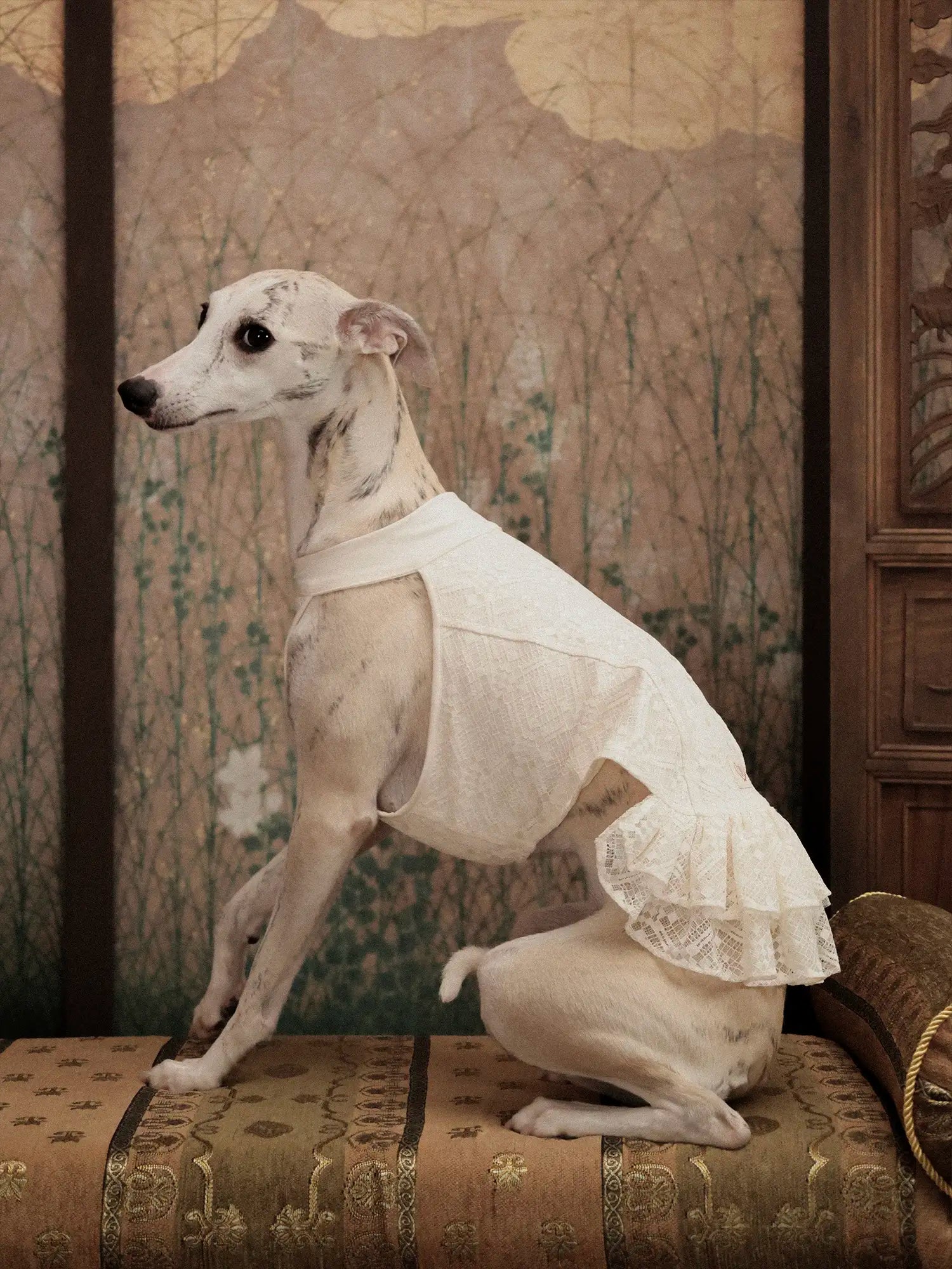 𝑳𝒂𝒄𝒆 | Chinoiserie skirt