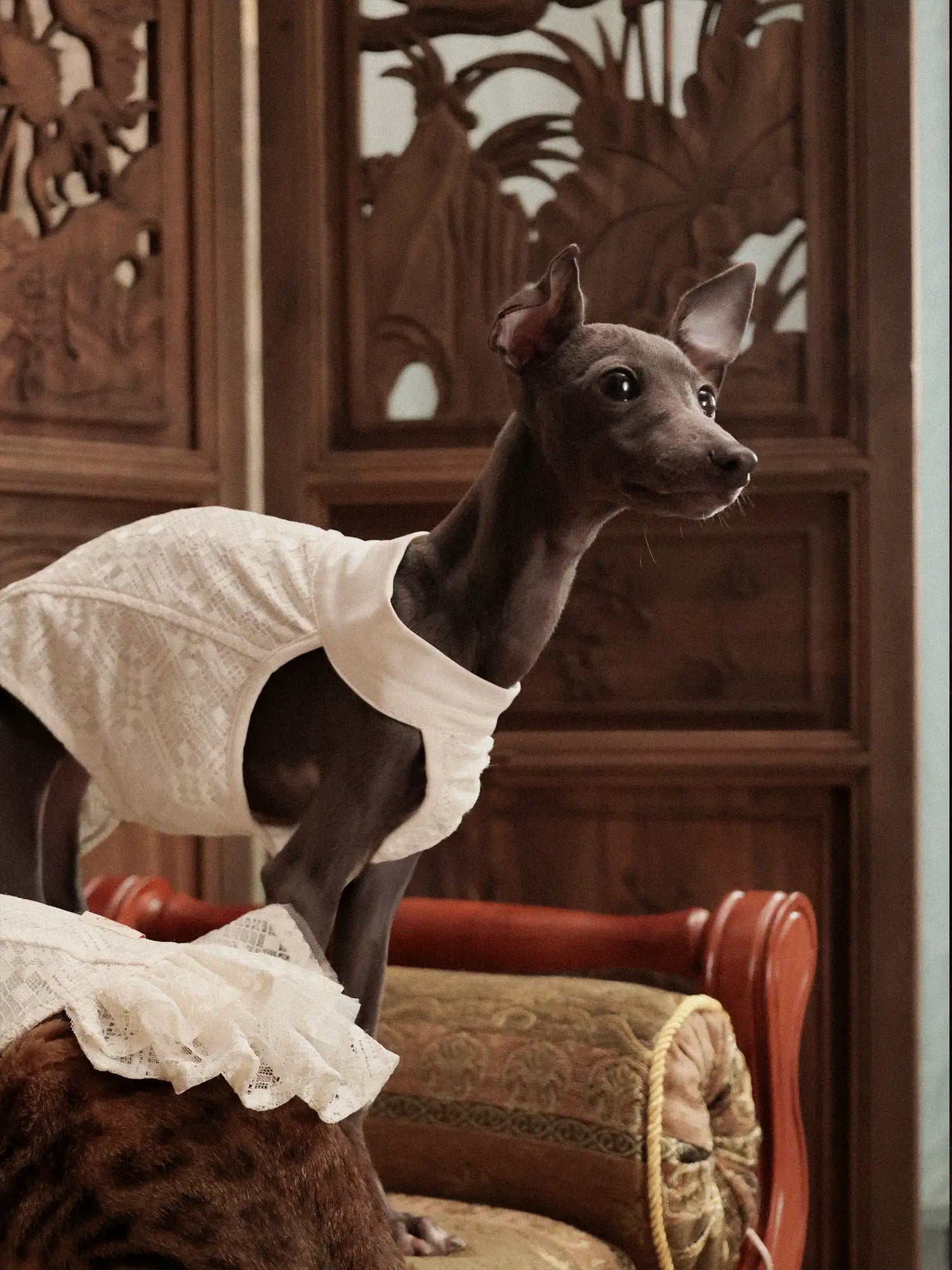 𝑳𝒂𝒄𝒆 | Chinoiserie skirt