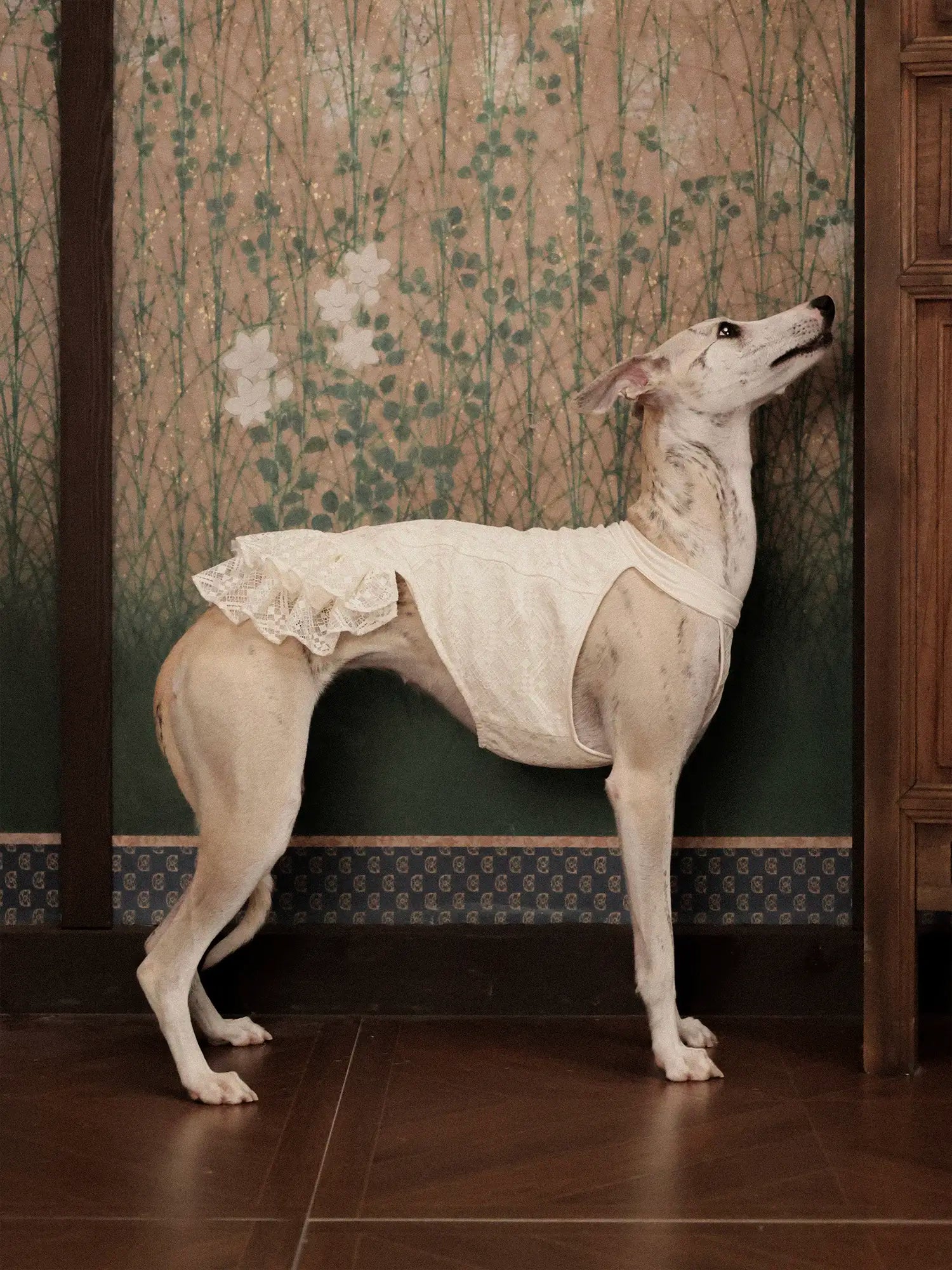 𝑳𝒂𝒄𝒆 | Chinoiserie skirt