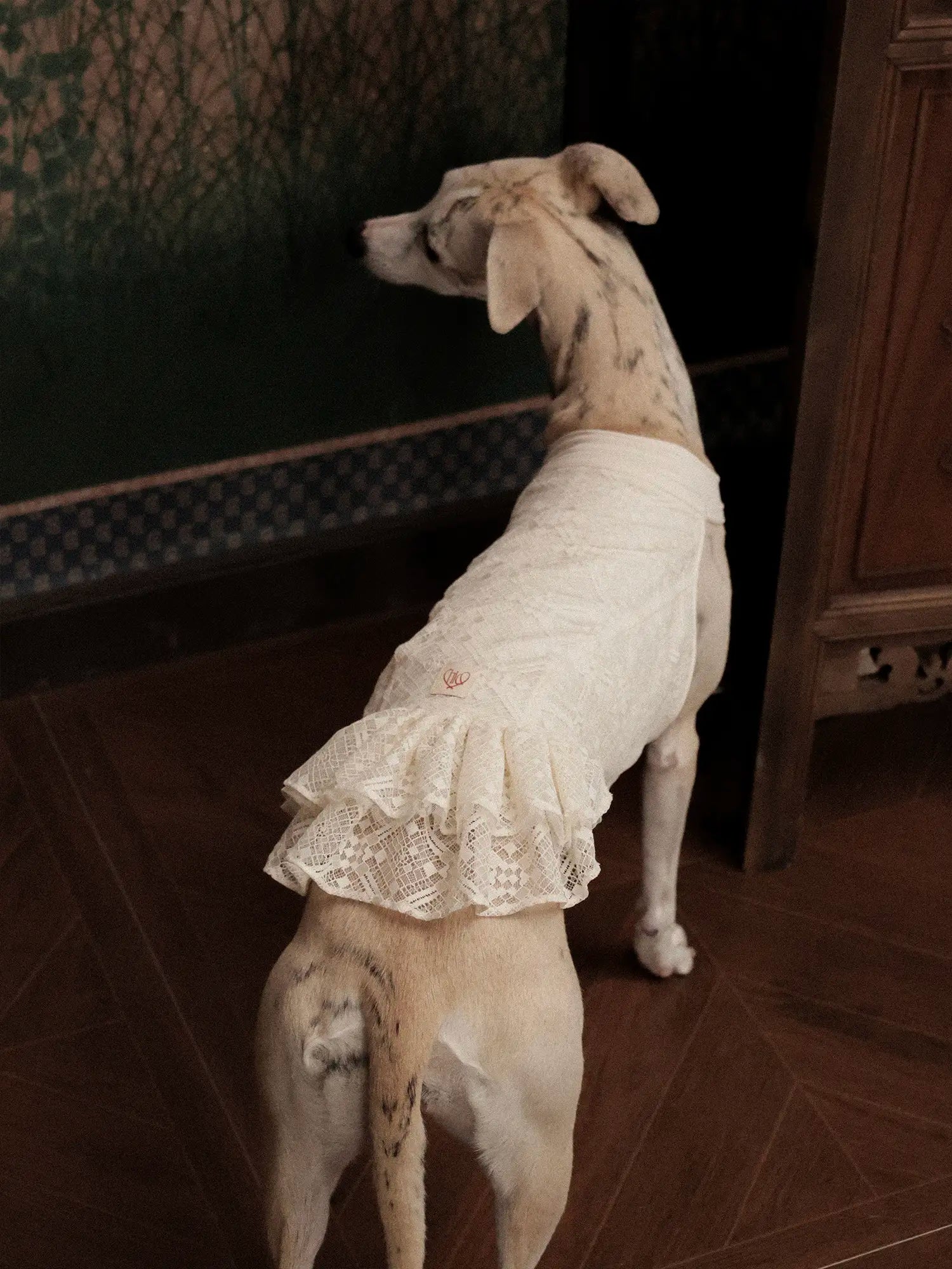 𝑳𝒂𝒄𝒆 | Chinoiserie skirt