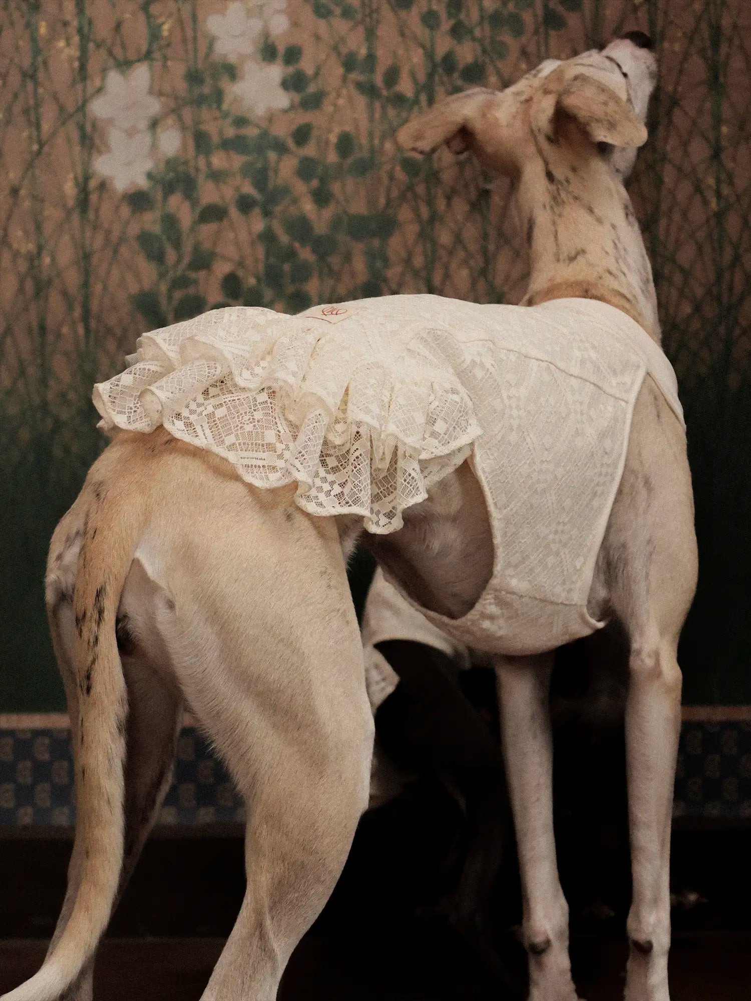 𝑳𝒂𝒄𝒆 | Chinoiserie skirt