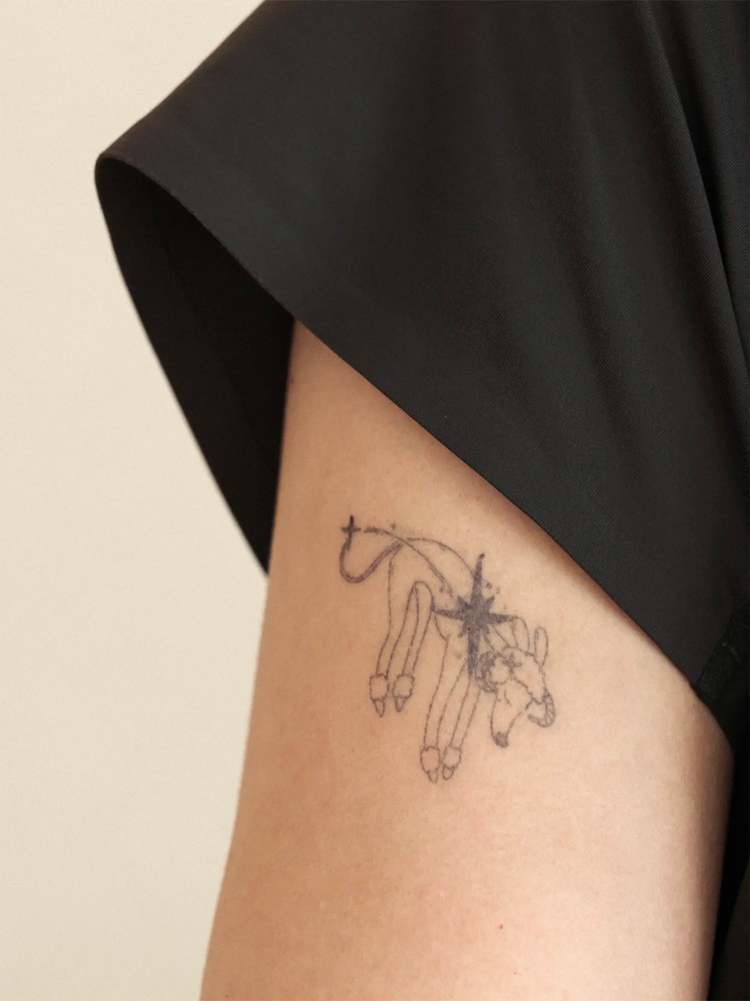 𝑳𝒖𝒄𝒌𝒚𝑺𝒕𝒂𝒓｜Sighthound Zodiac Temporary Tattoos