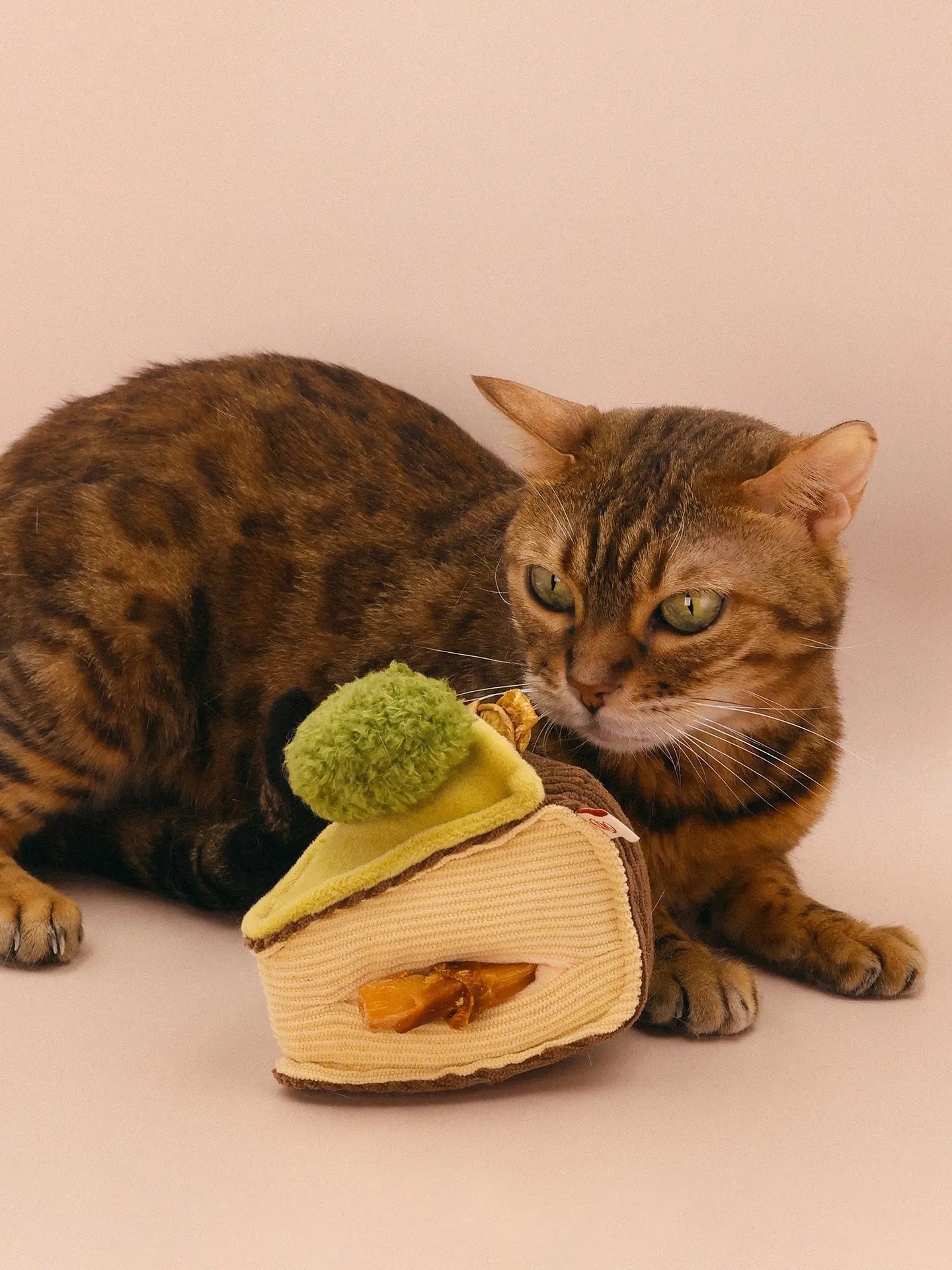 𝑺𝒘𝒆𝒆𝒕𝑯𝒆𝒂𝒓𝒕 | Love Basque